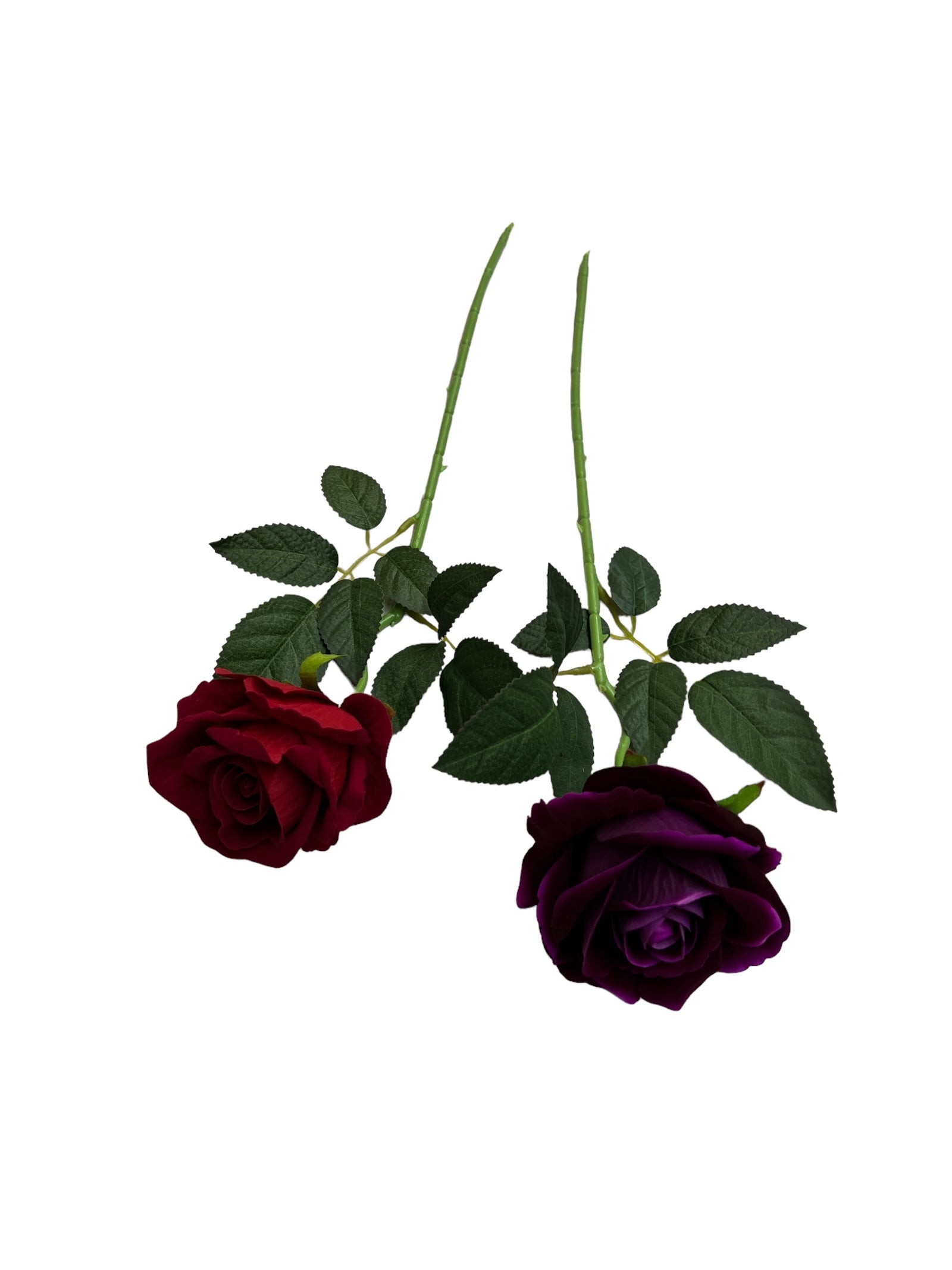 Photoroom_20240523_152912