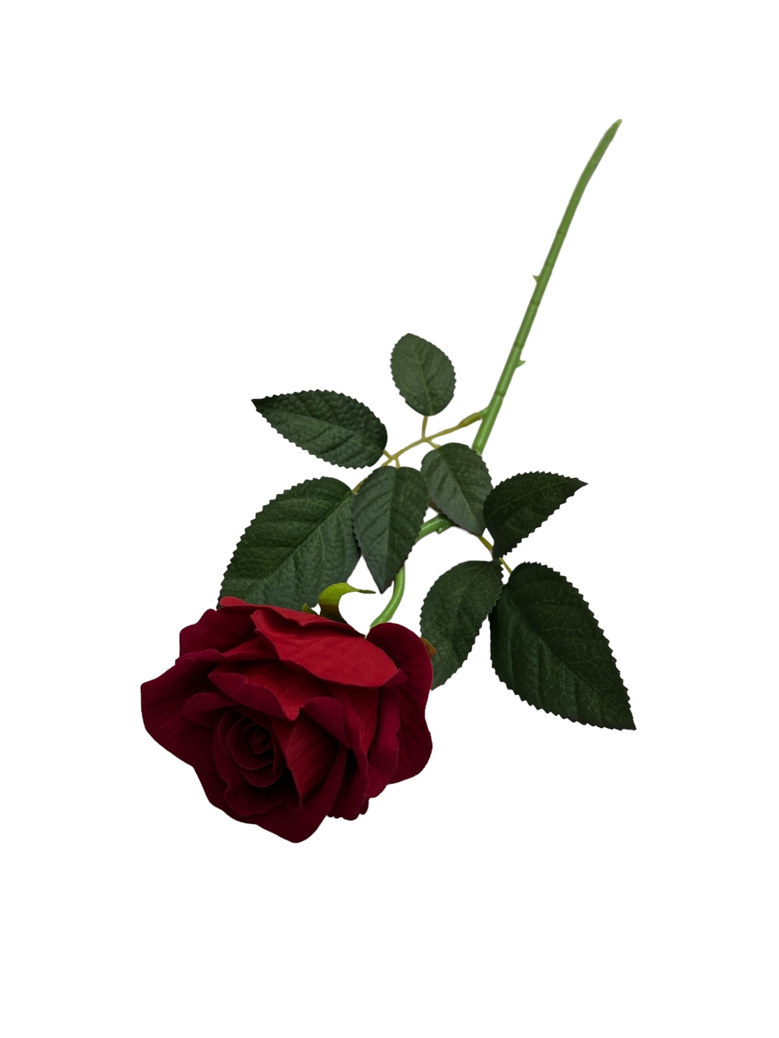 Photoroom_20240523_153038