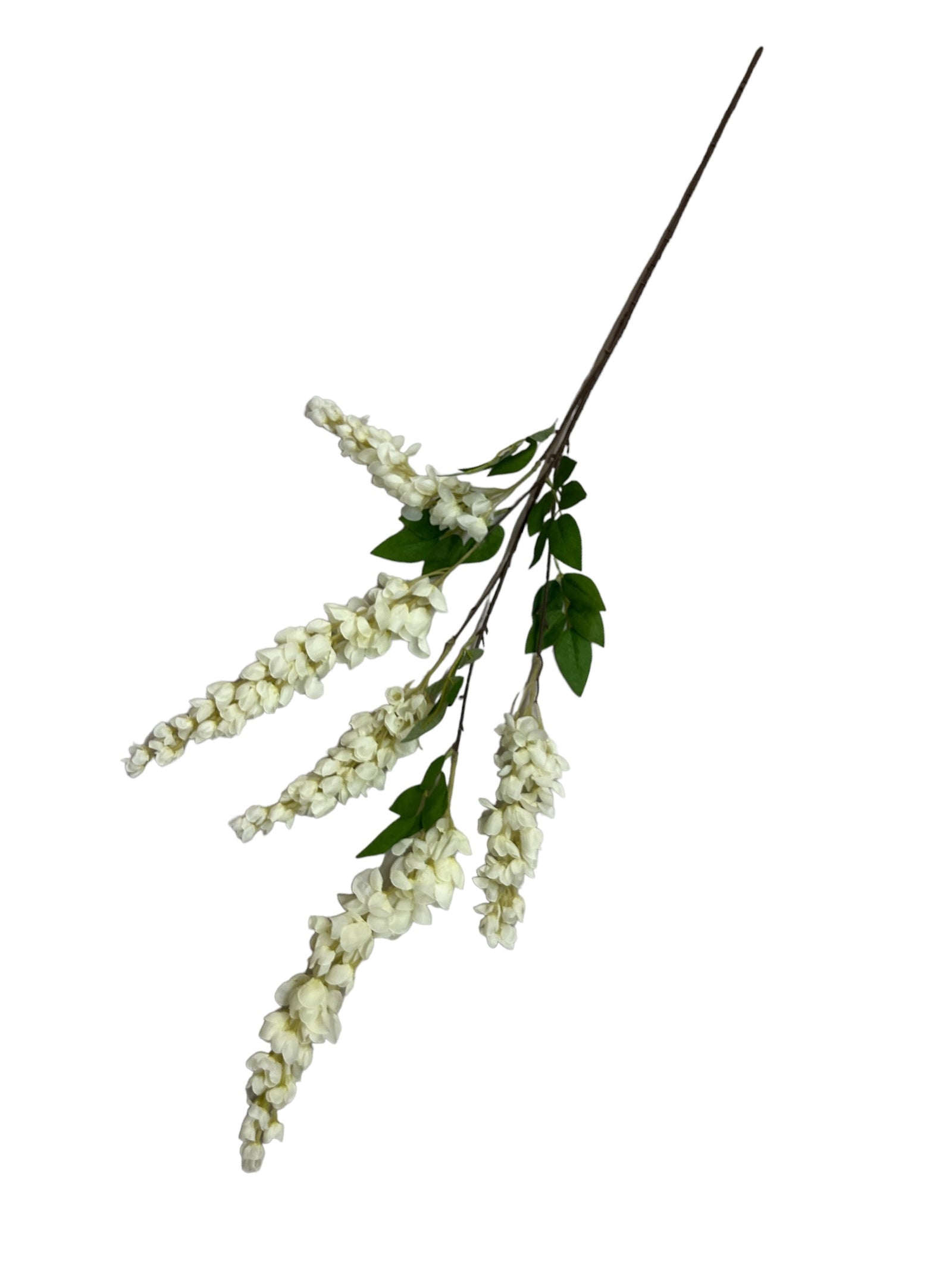 Photoroom_20240523_152240