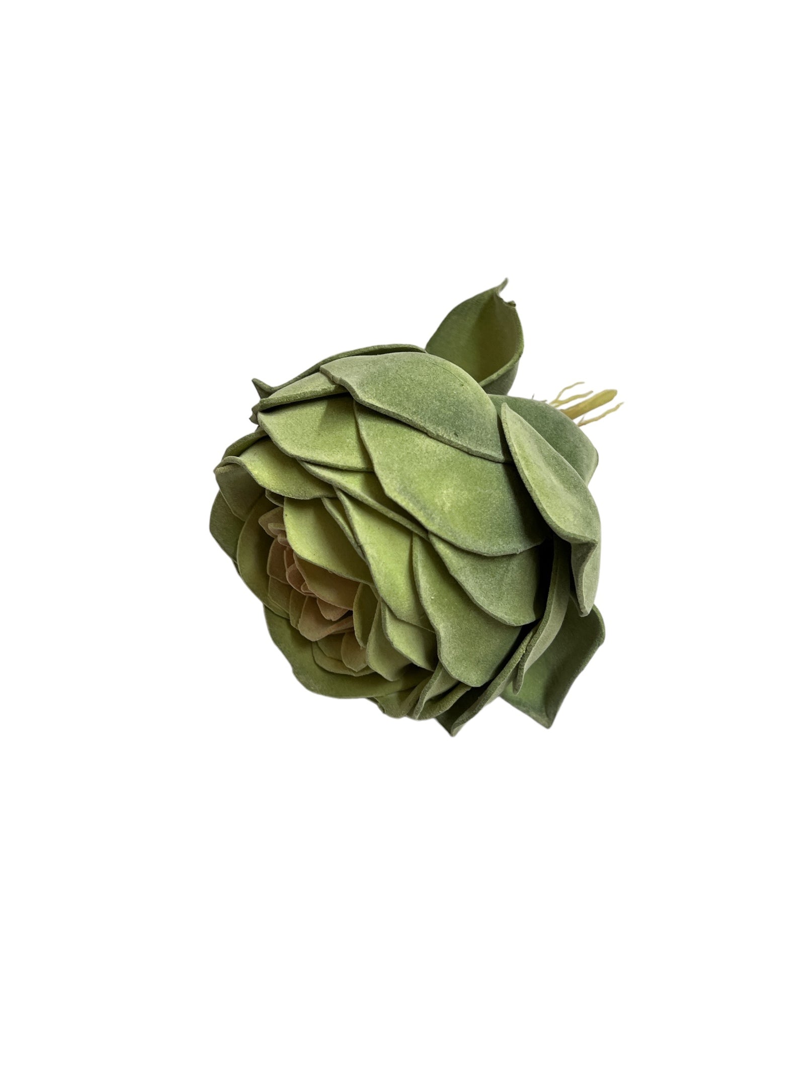 Photoroom_20240701_153307 2