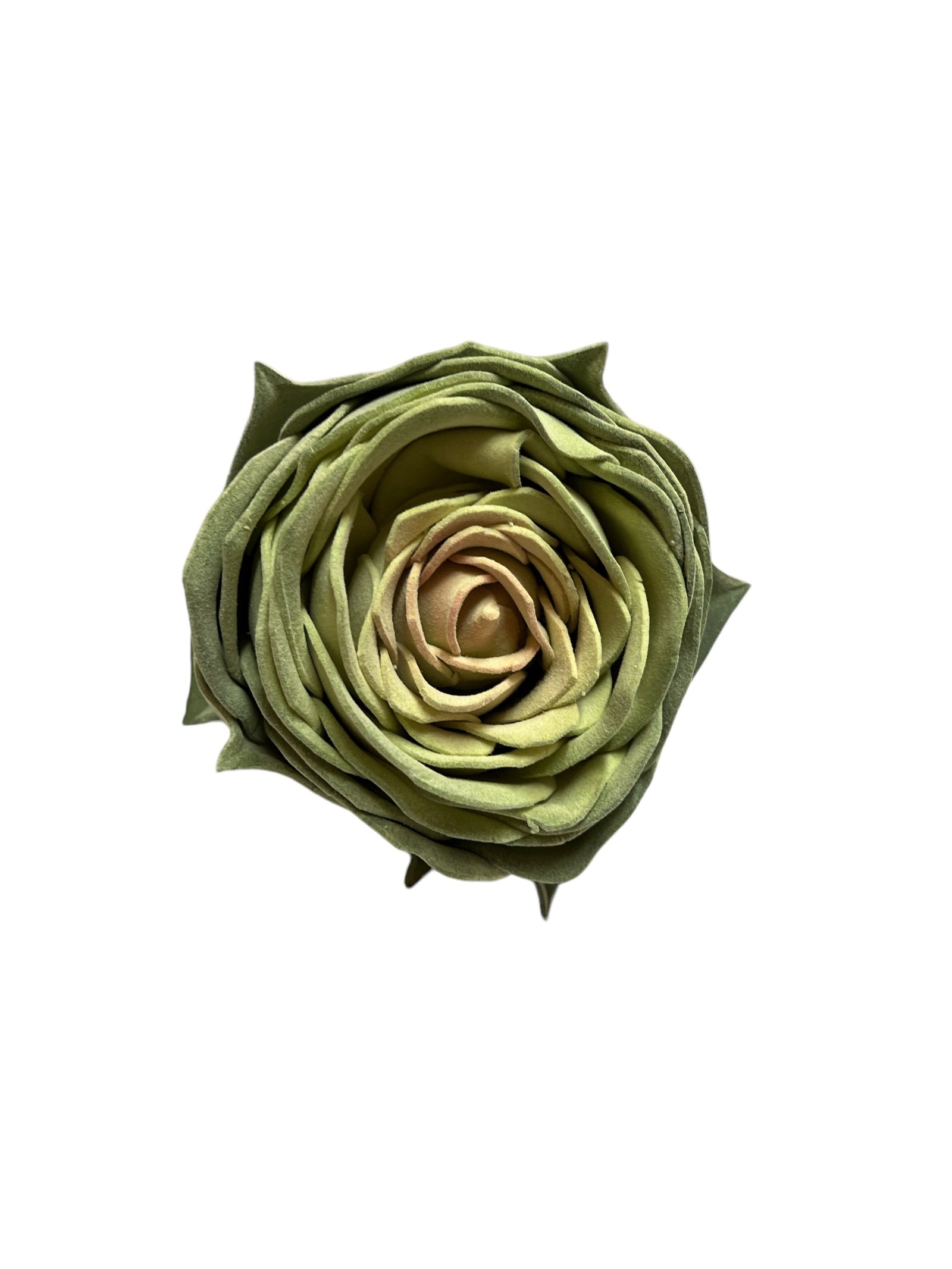 Photoroom_20240701_153327 2