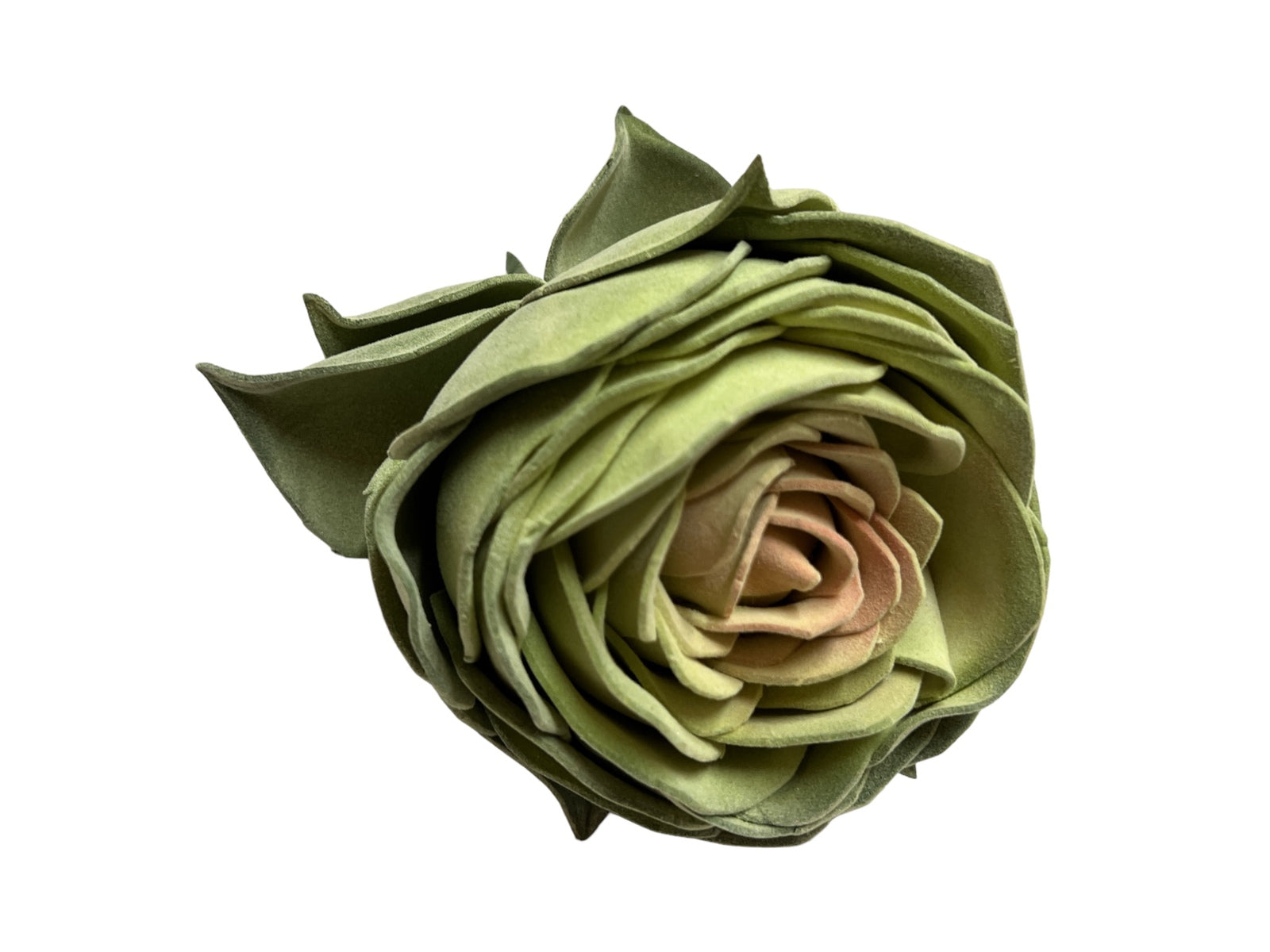 Photoroom_20240701_153452 2