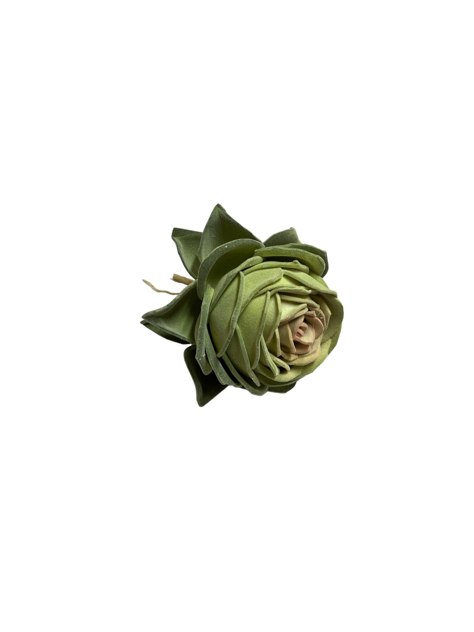 Photoroom_20240701_153512 2