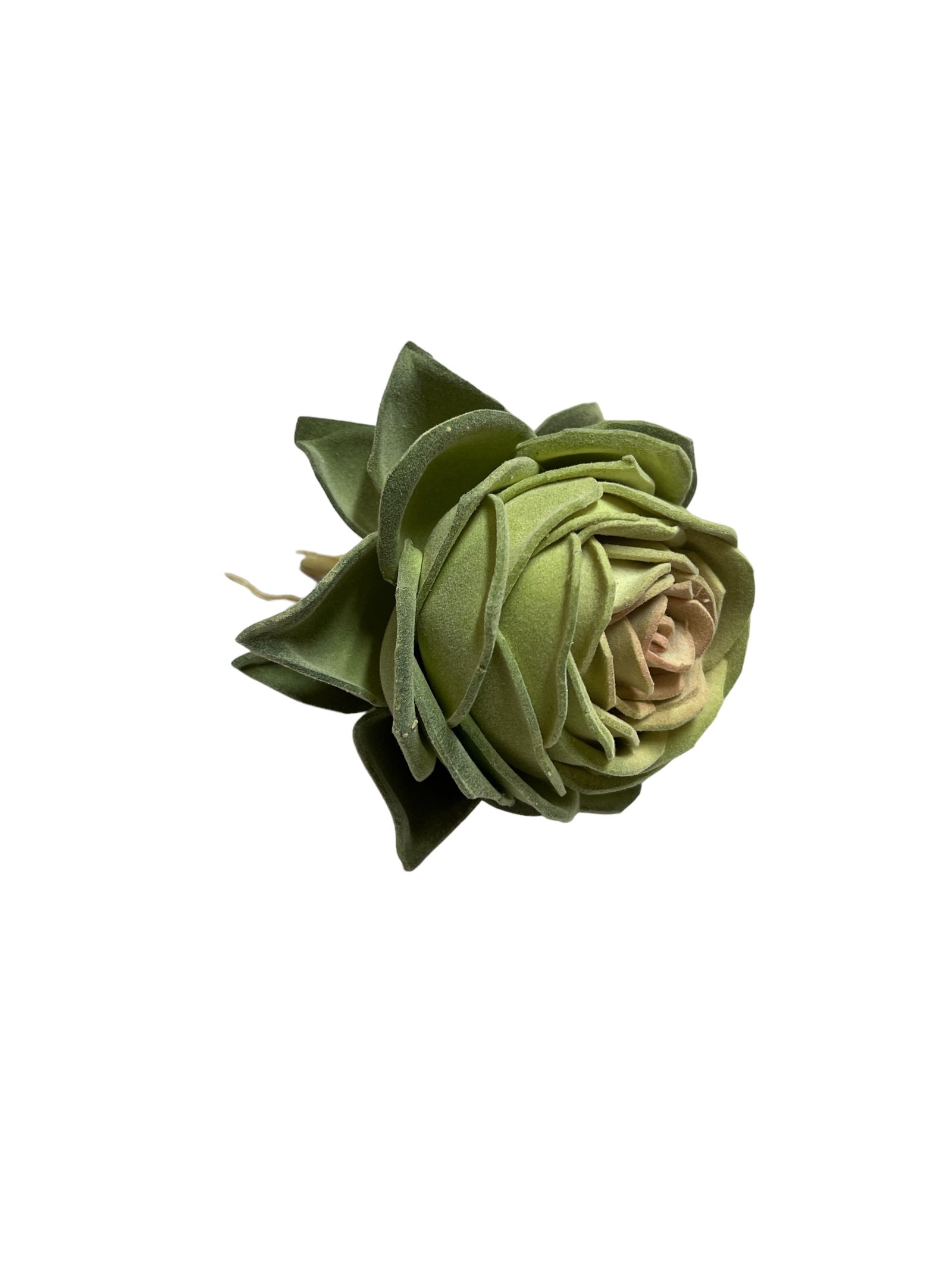 Photoroom_20240701_153533 2