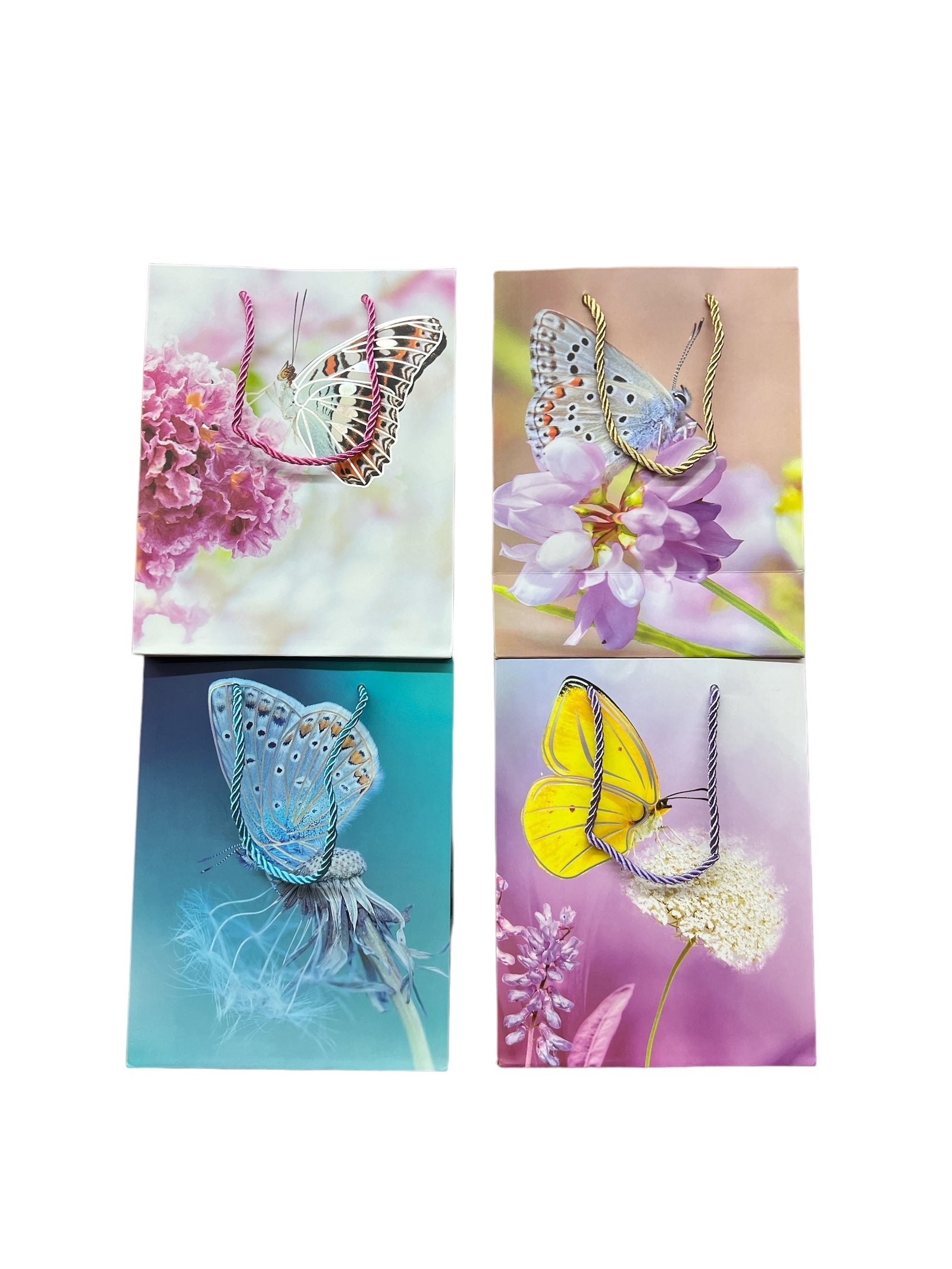 Photoroom_20240702_114913