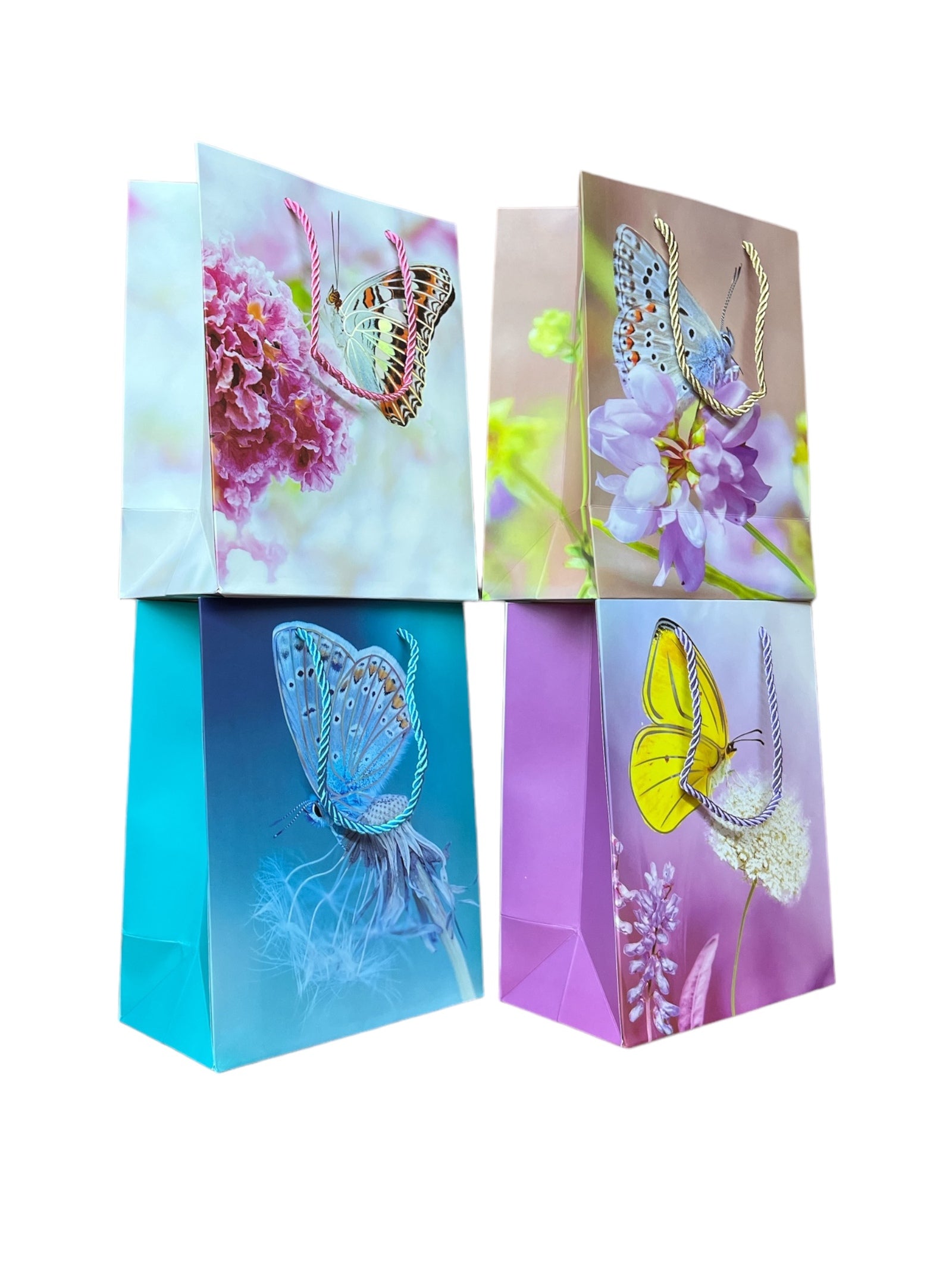 Photoroom_20240702_115315