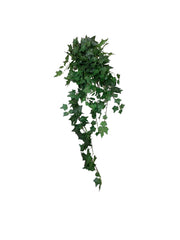 d5d04e6f73fbc8865fc7a29475d021c6 2