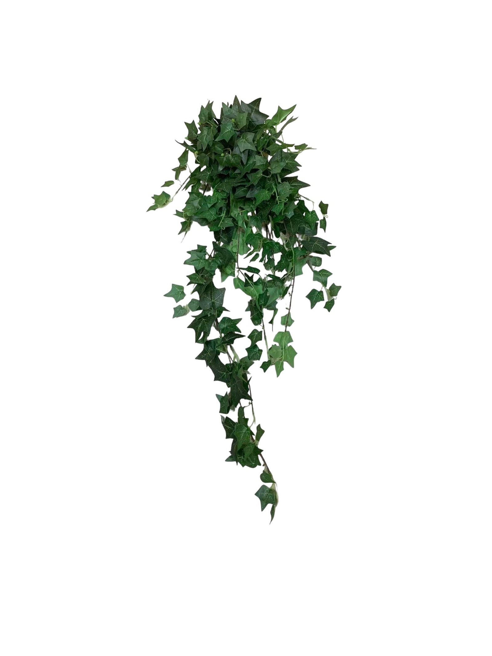 d5d04e6f73fbc8865fc7a29475d021c6 2