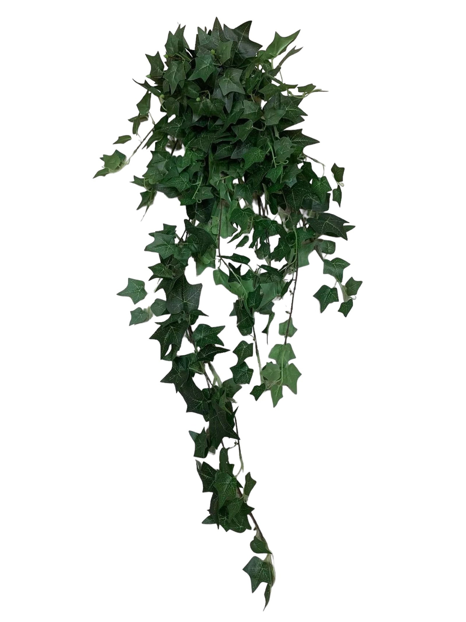 d5d04e6f73fbc8865fc7a29475d021c6