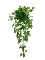 419e25b16055bb87f38a1126b5e0a560