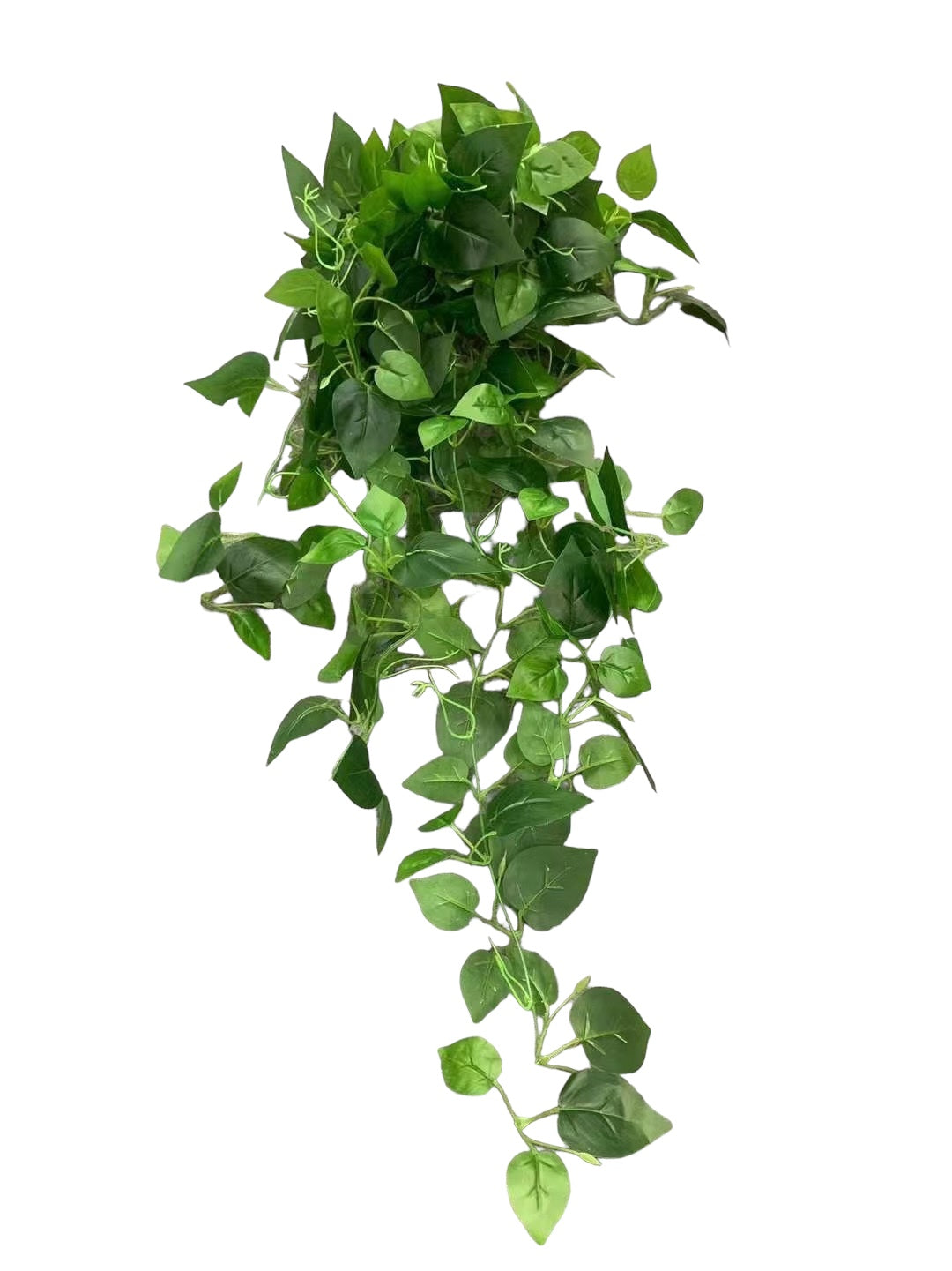 214ad4f68f1a24527c70fa7b9119d9fc