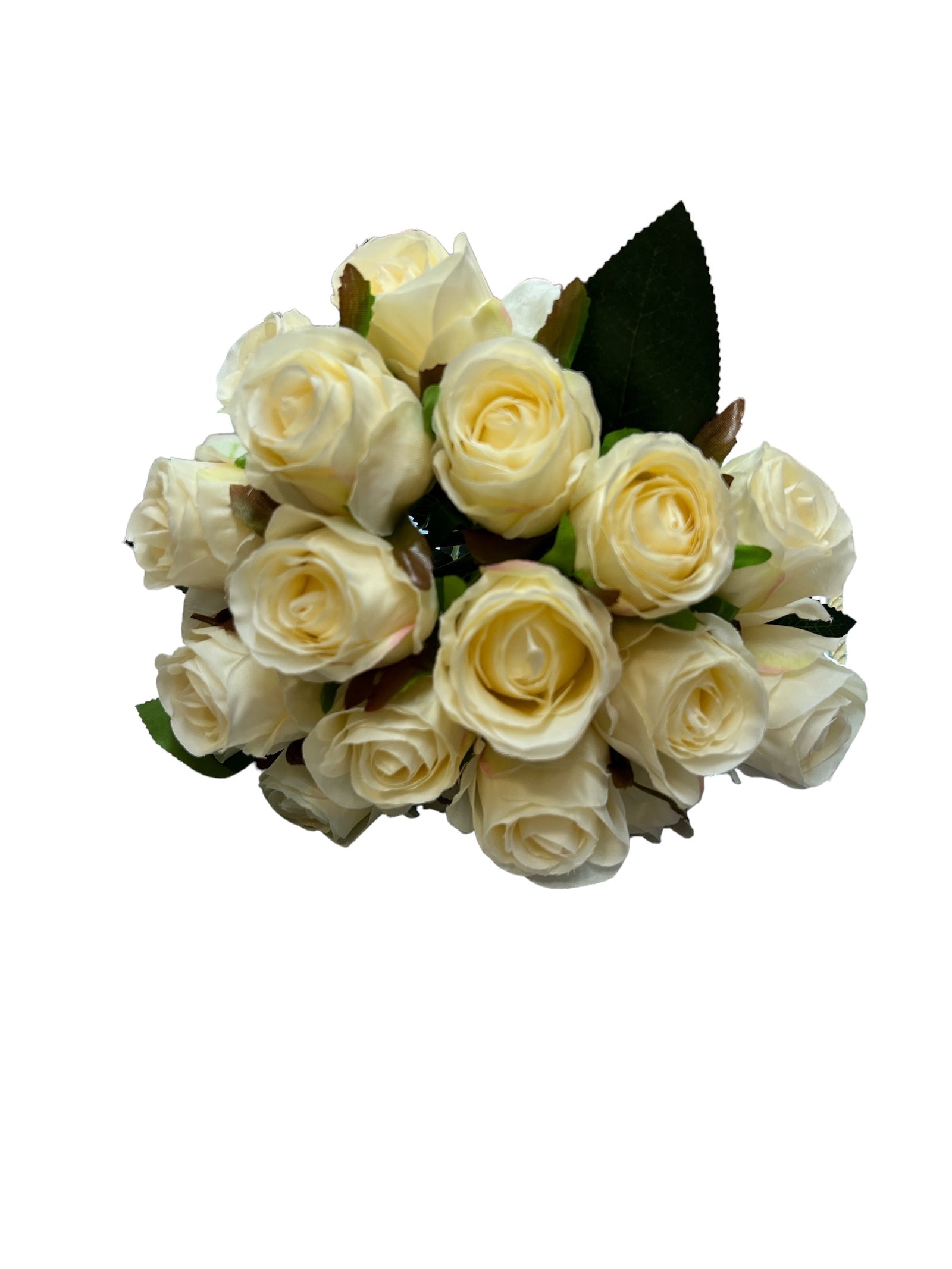 Photoroom_20240709_152245