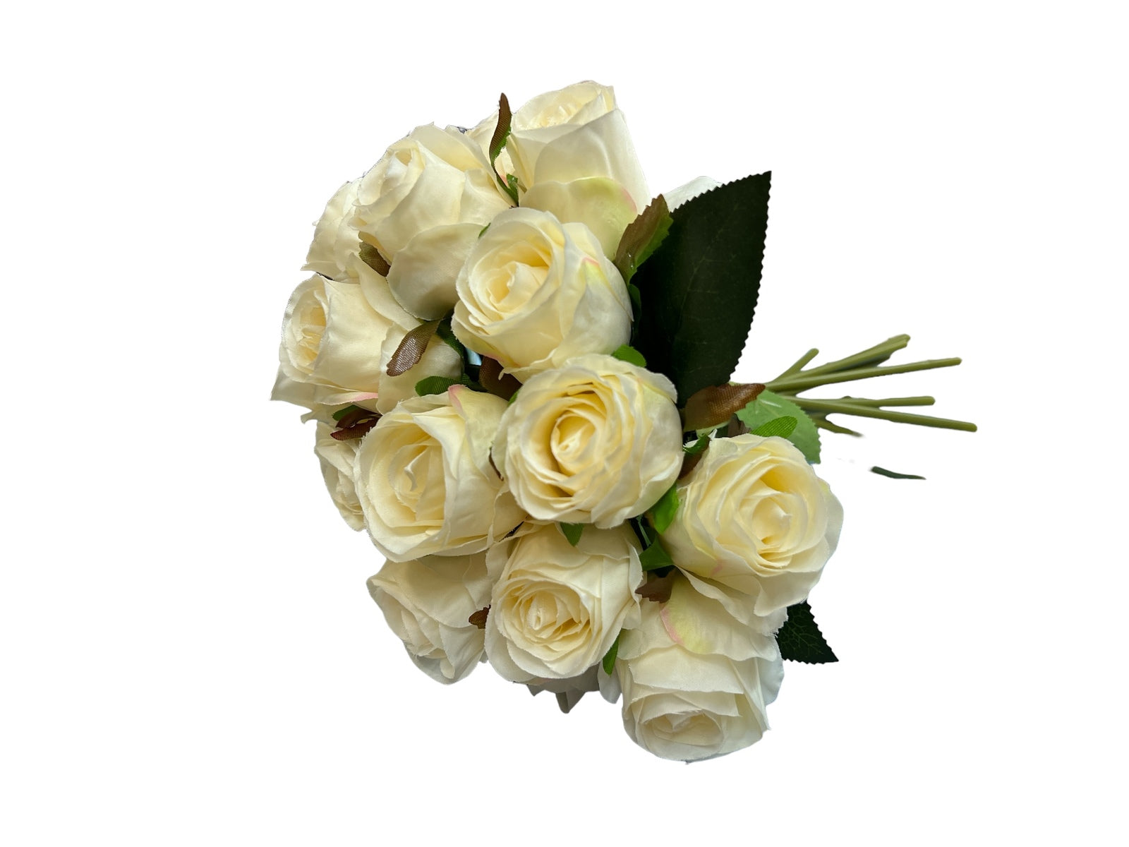 Photoroom_20240709_152314