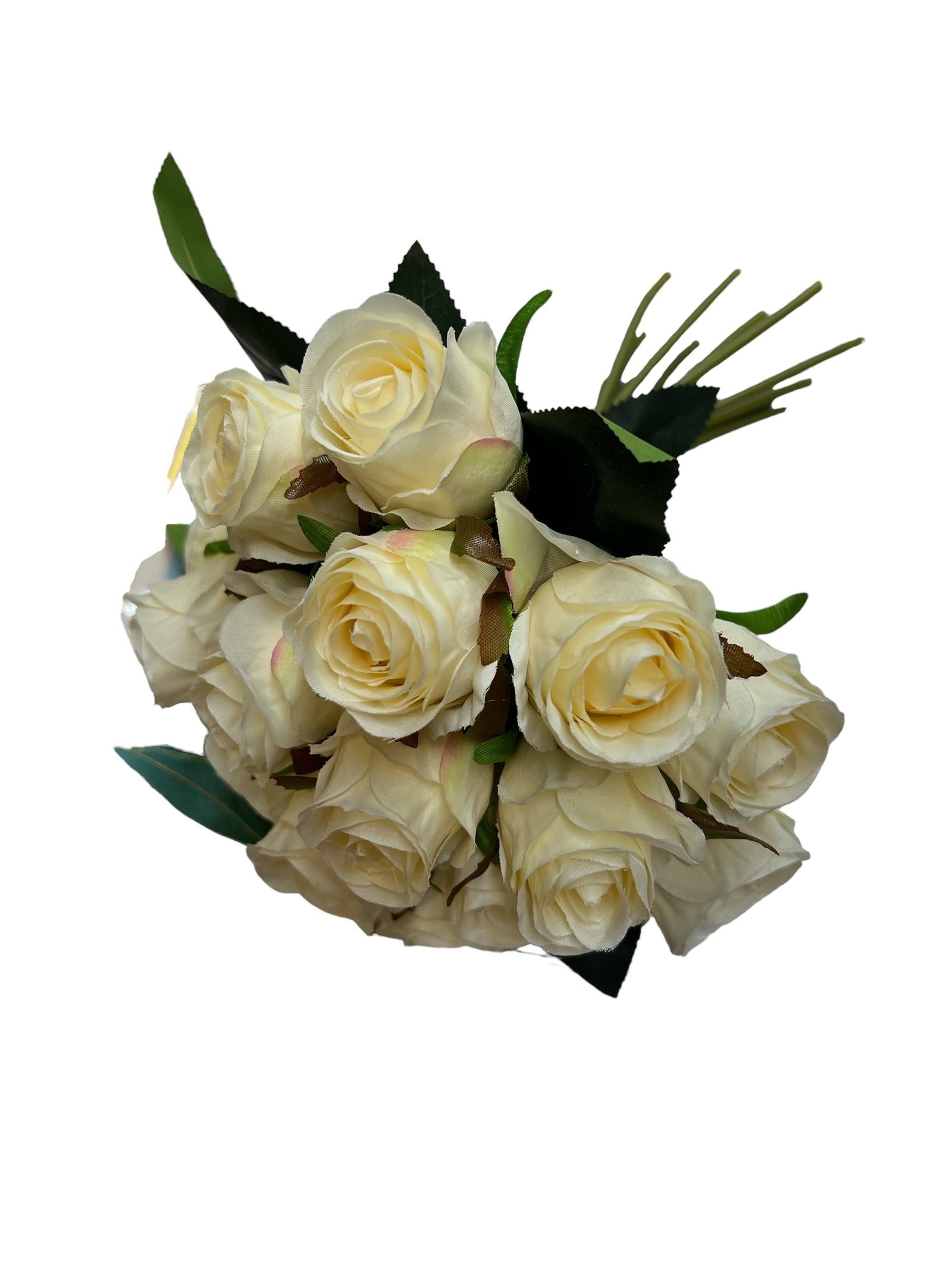 Photoroom_20240709_152431