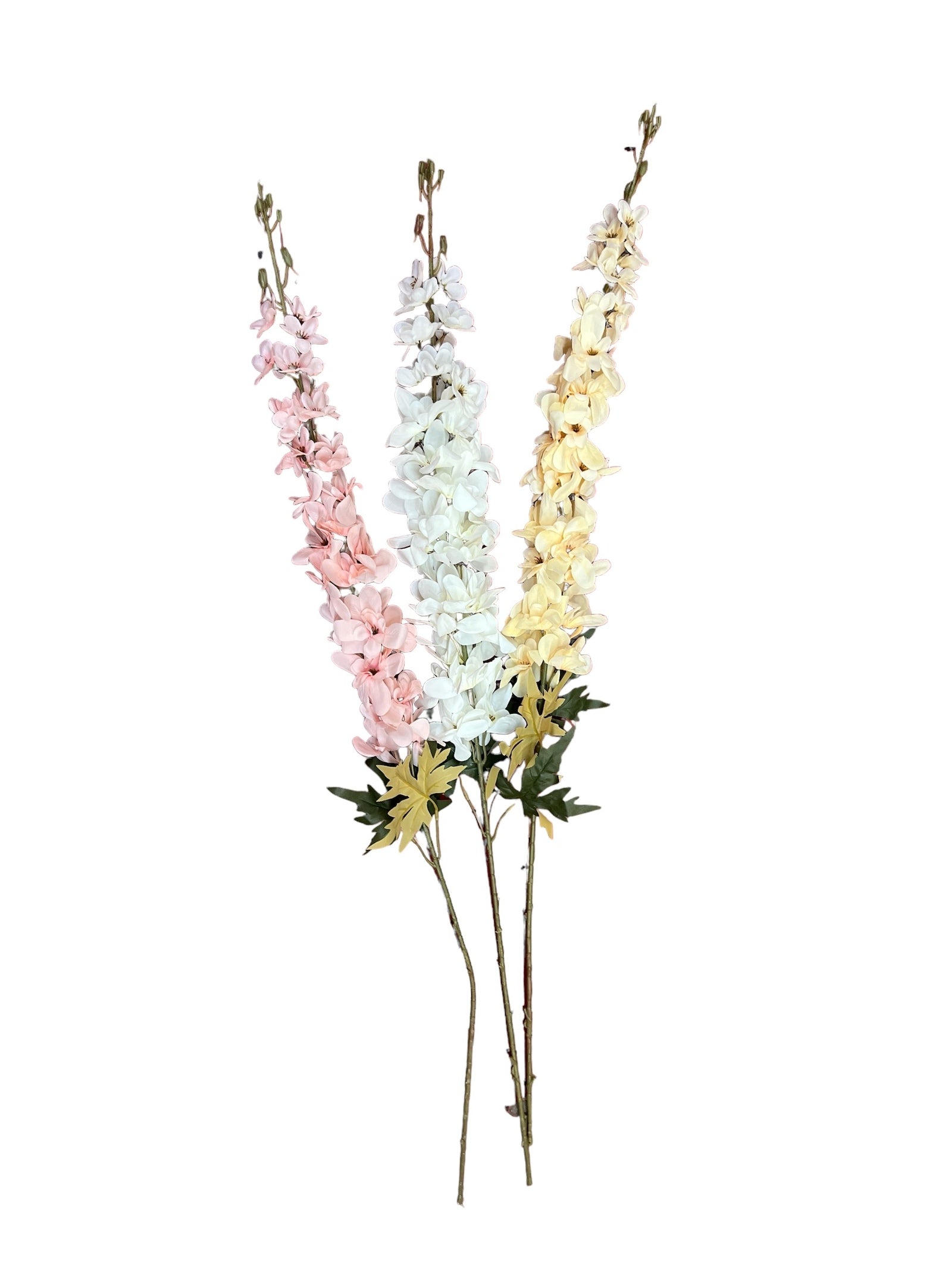 Photoroom_20240709_163136