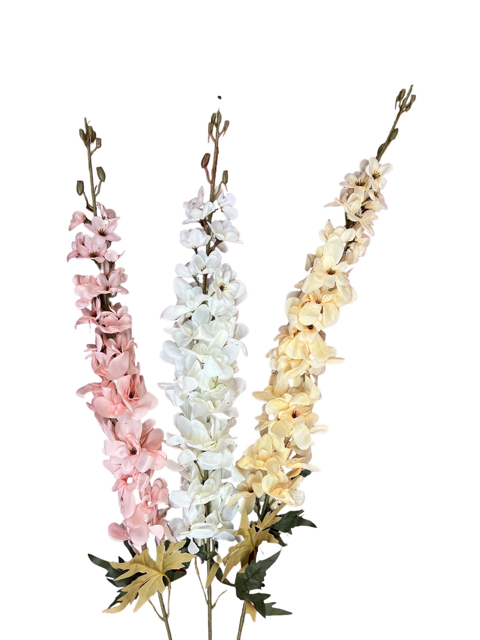 Photoroom_20240709_163205