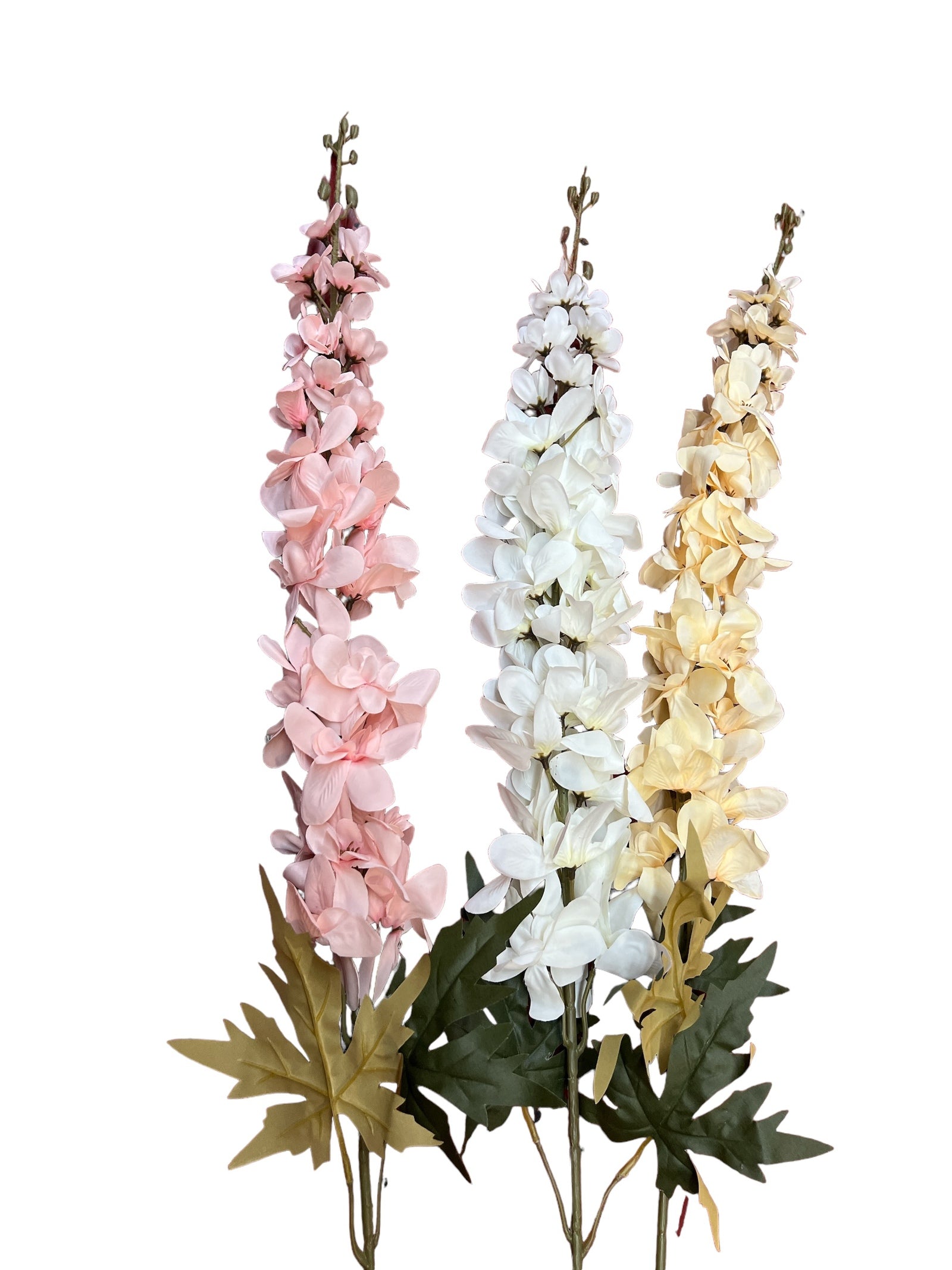 Photoroom_20240709_163319