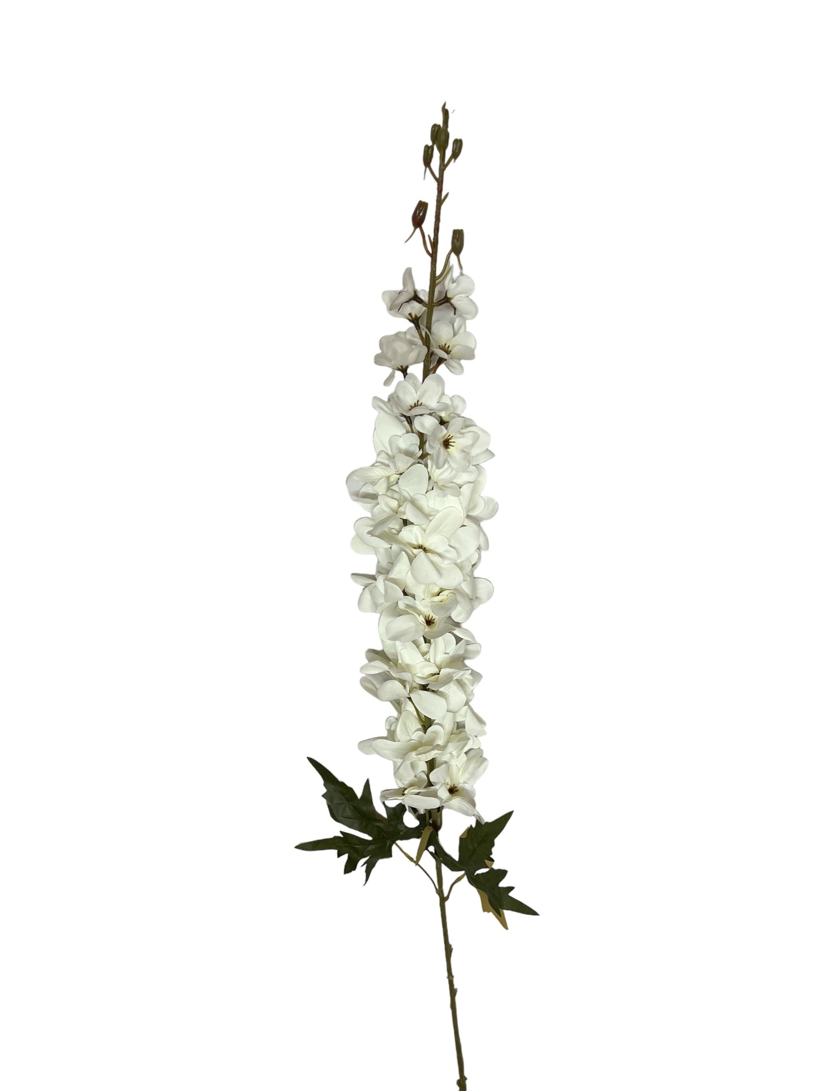 Photoroom_20240710_120447