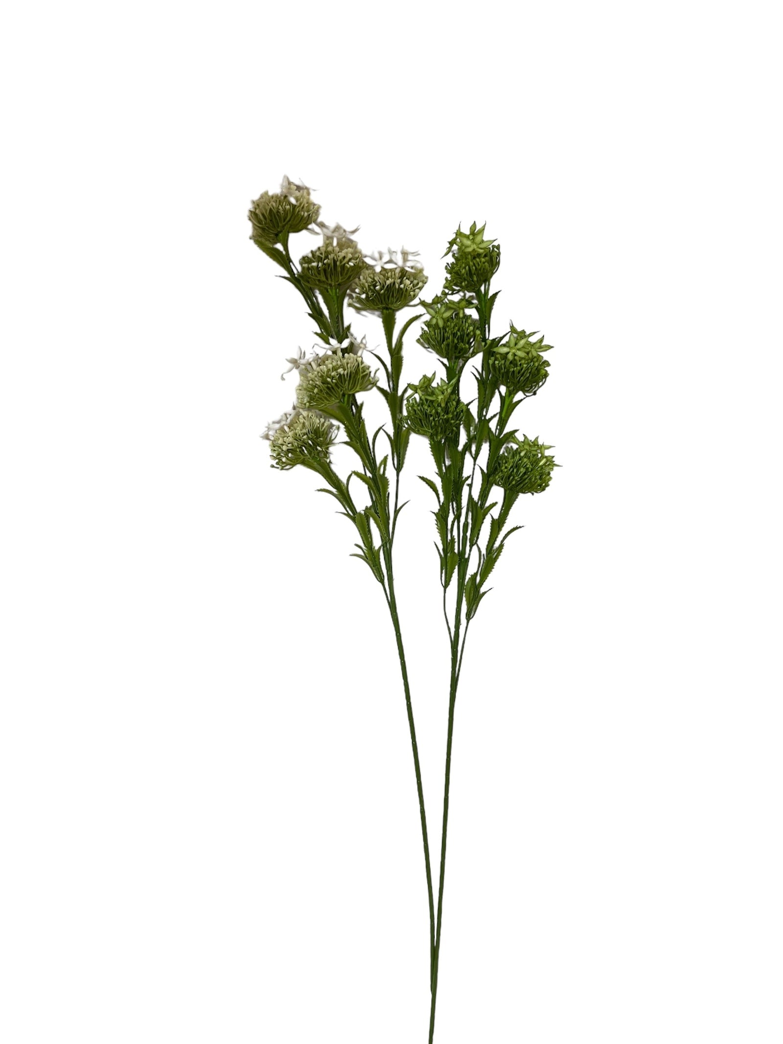 Photoroom_20240710_120707