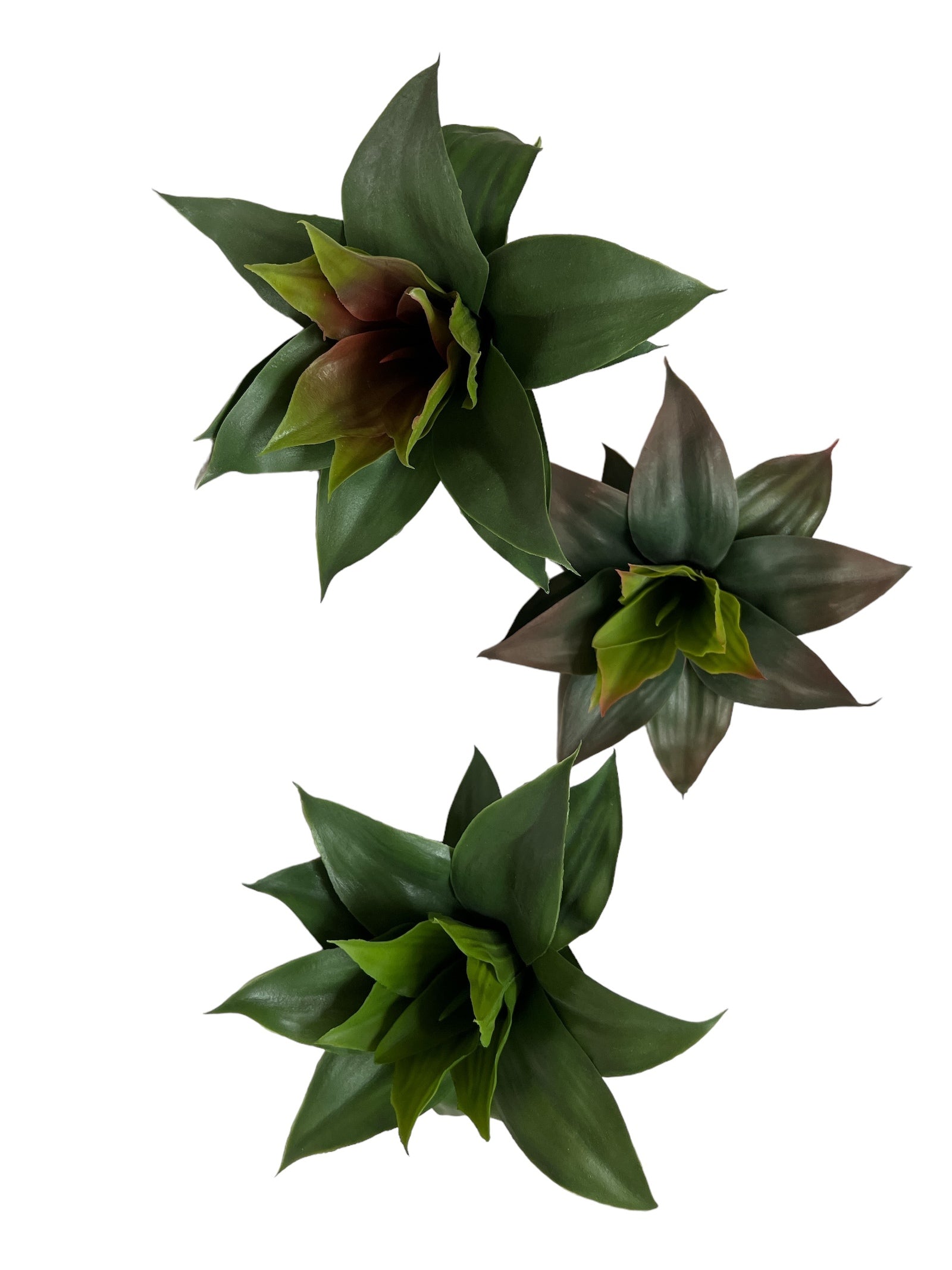 Photoroom_20240710_143648