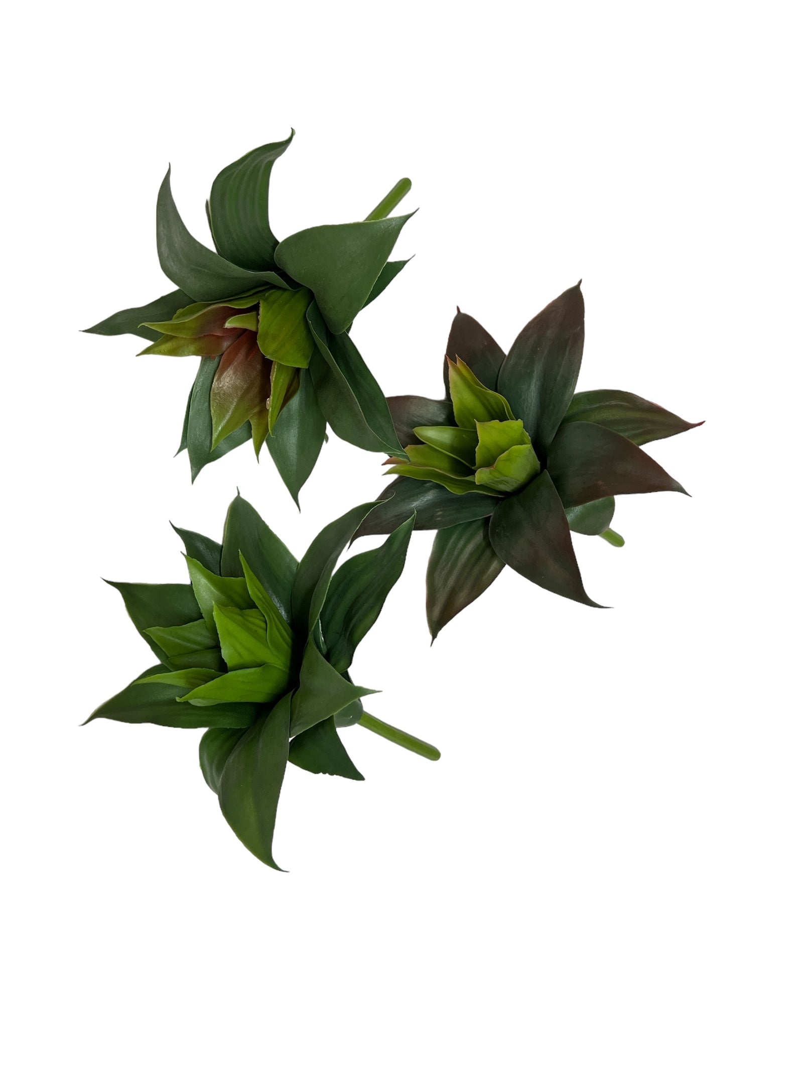 Photoroom_20240710_143706