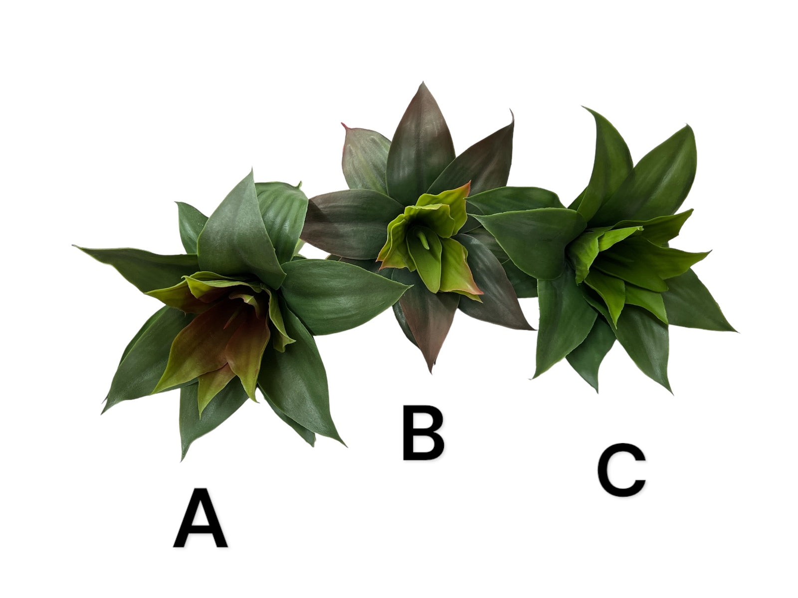 Photoroom_20240711_121438