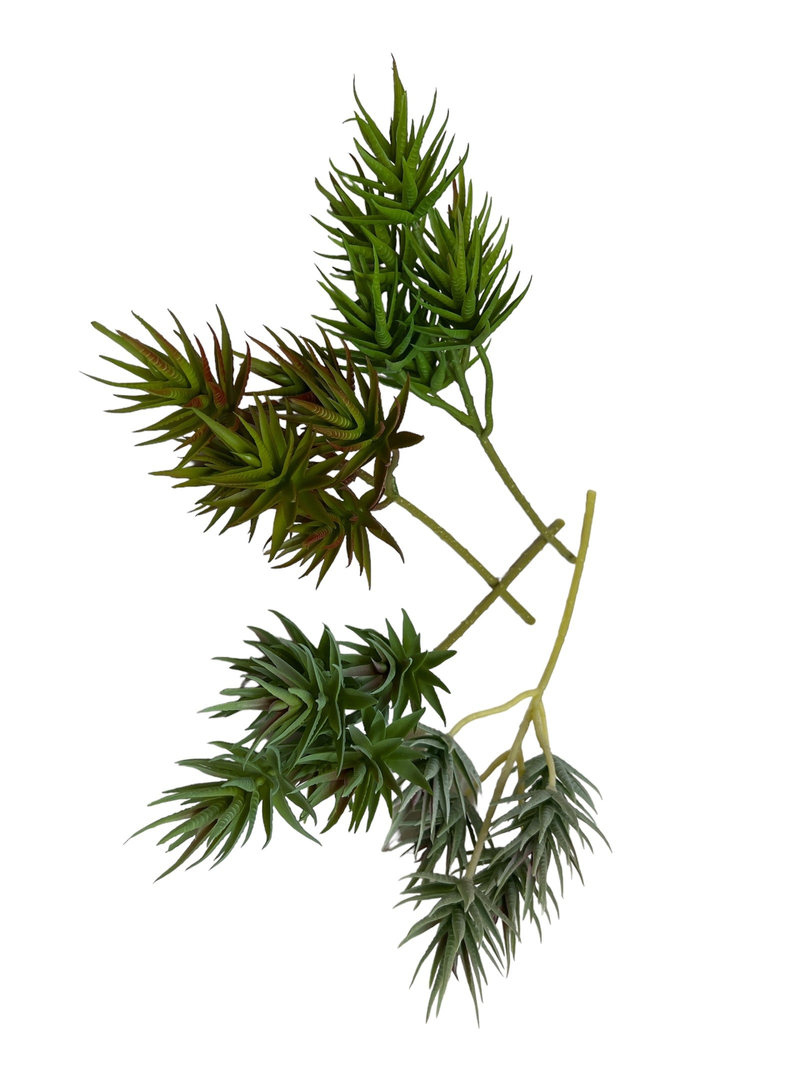 Photoroom_20240710_144230