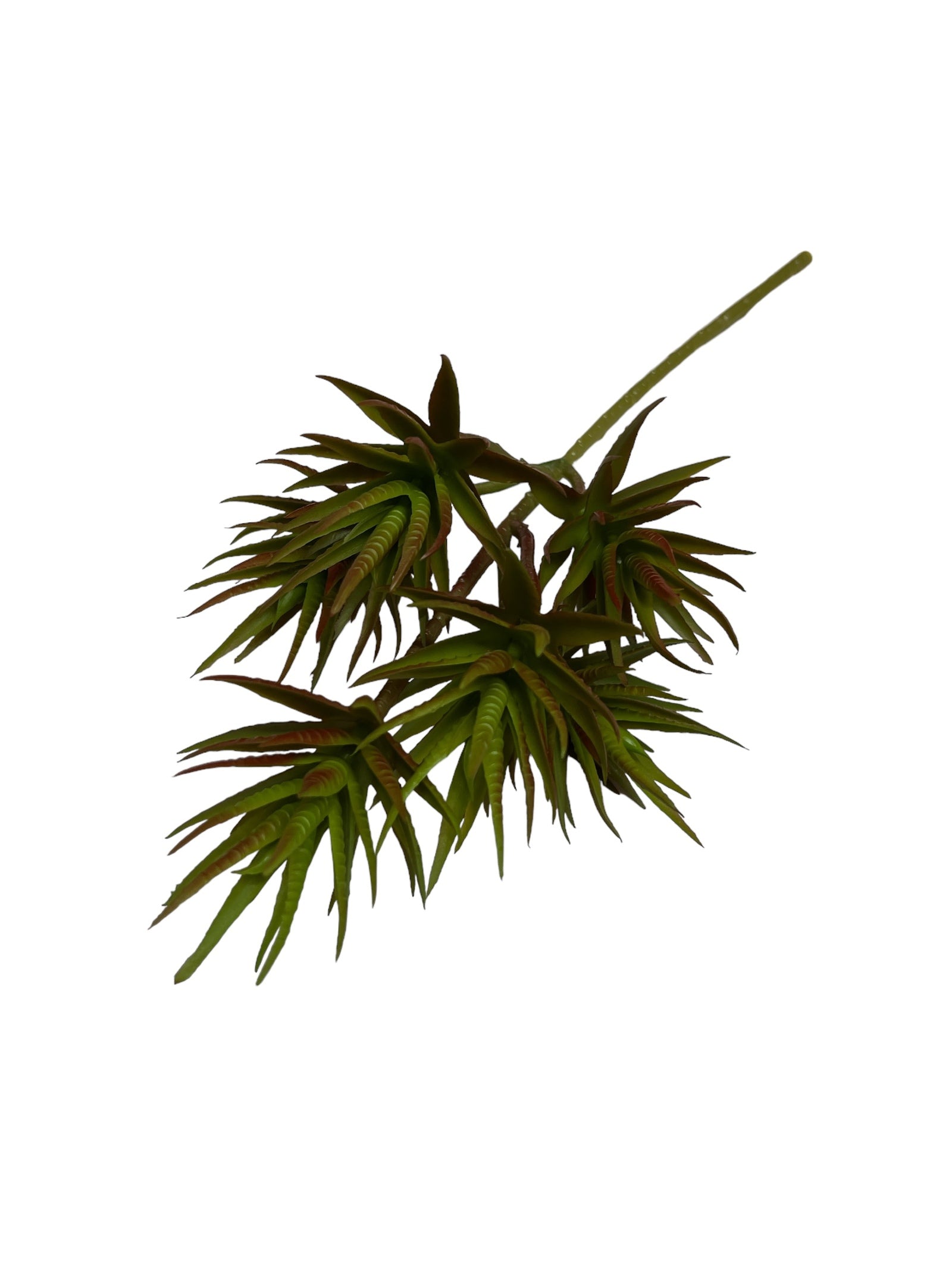 Photoroom_20240710_144453