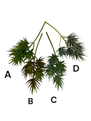 Photoroom_20240711_122733