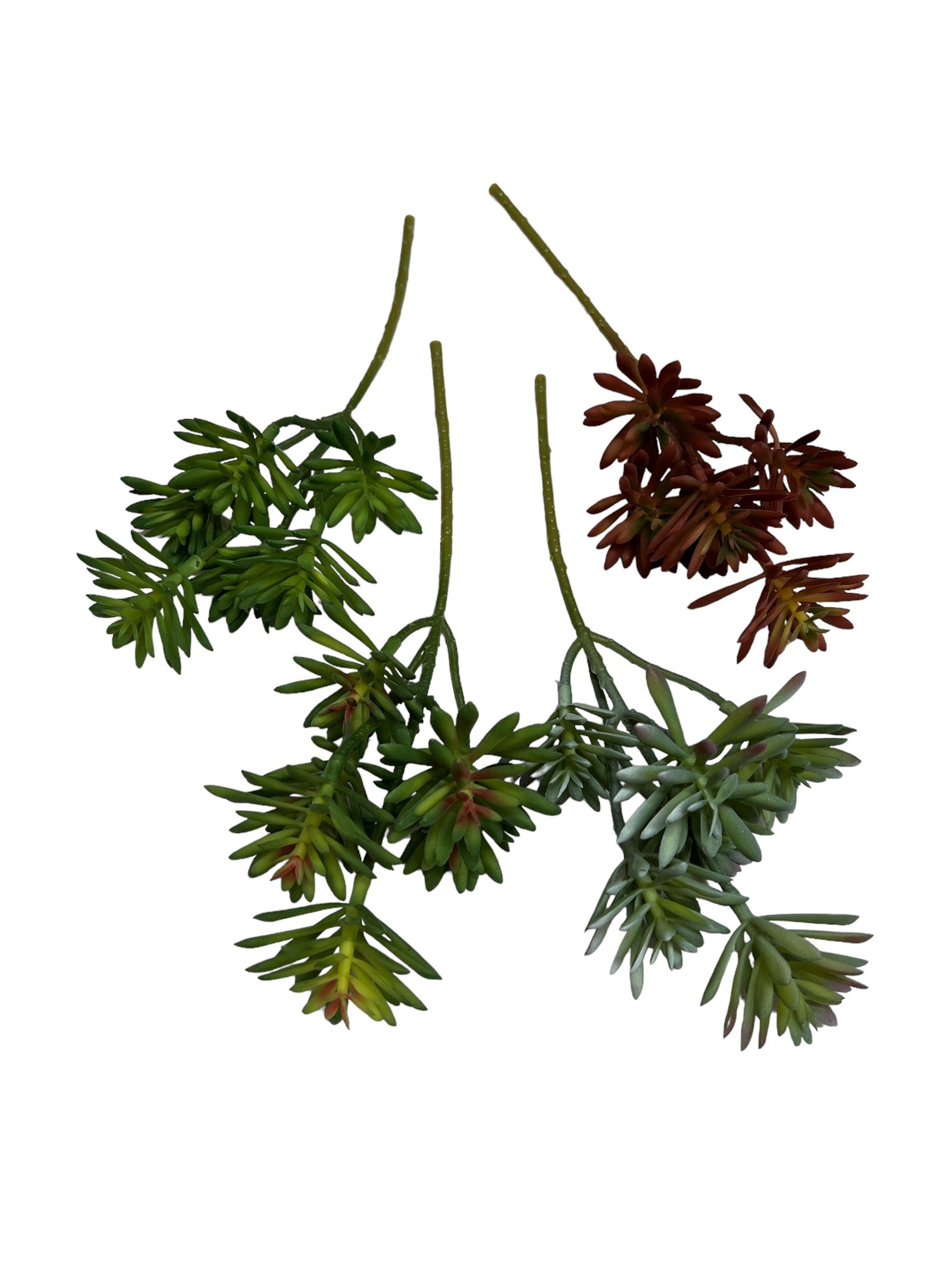 Photoroom_20240710_144017