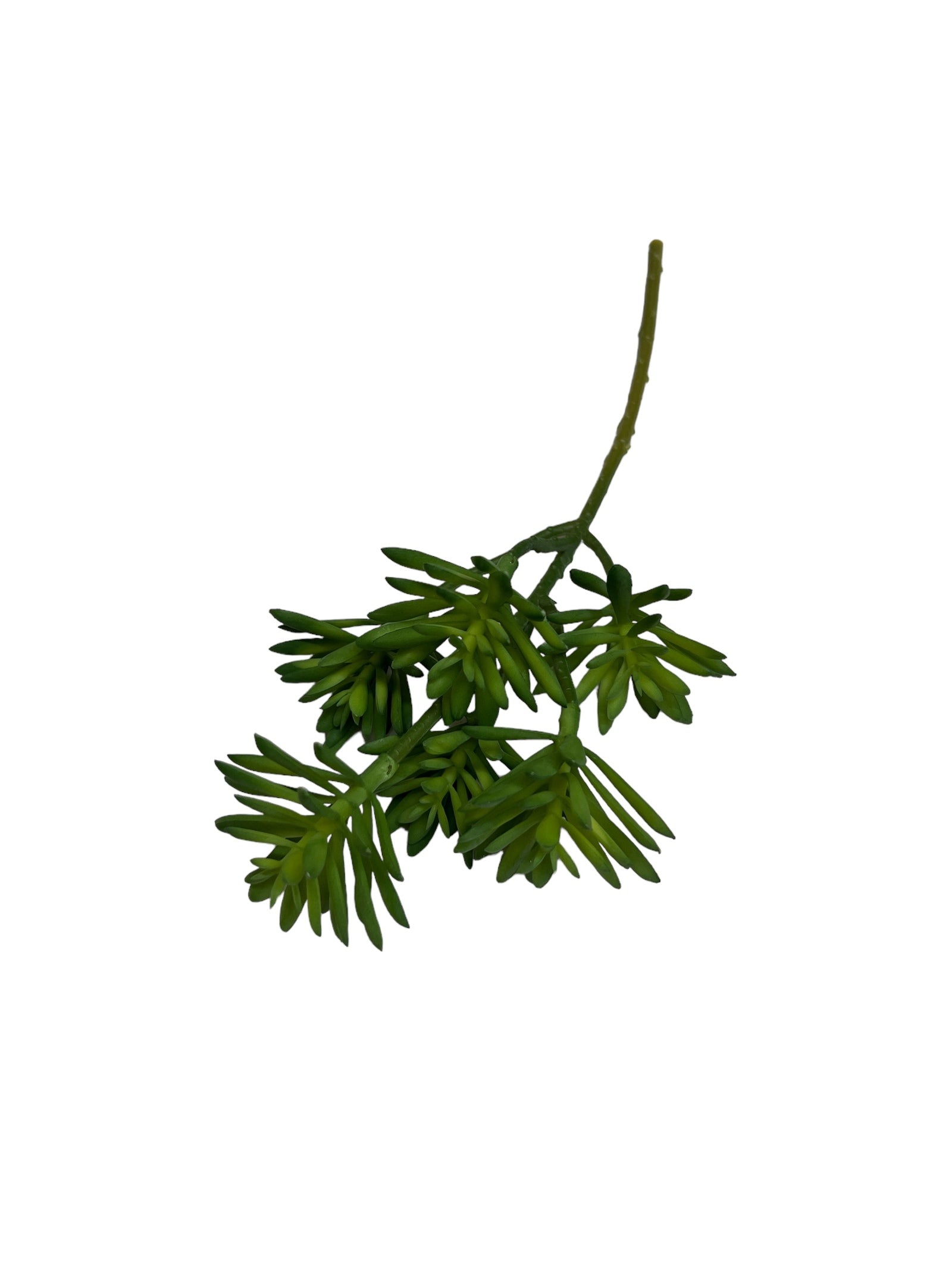 Photoroom_20240710_144040