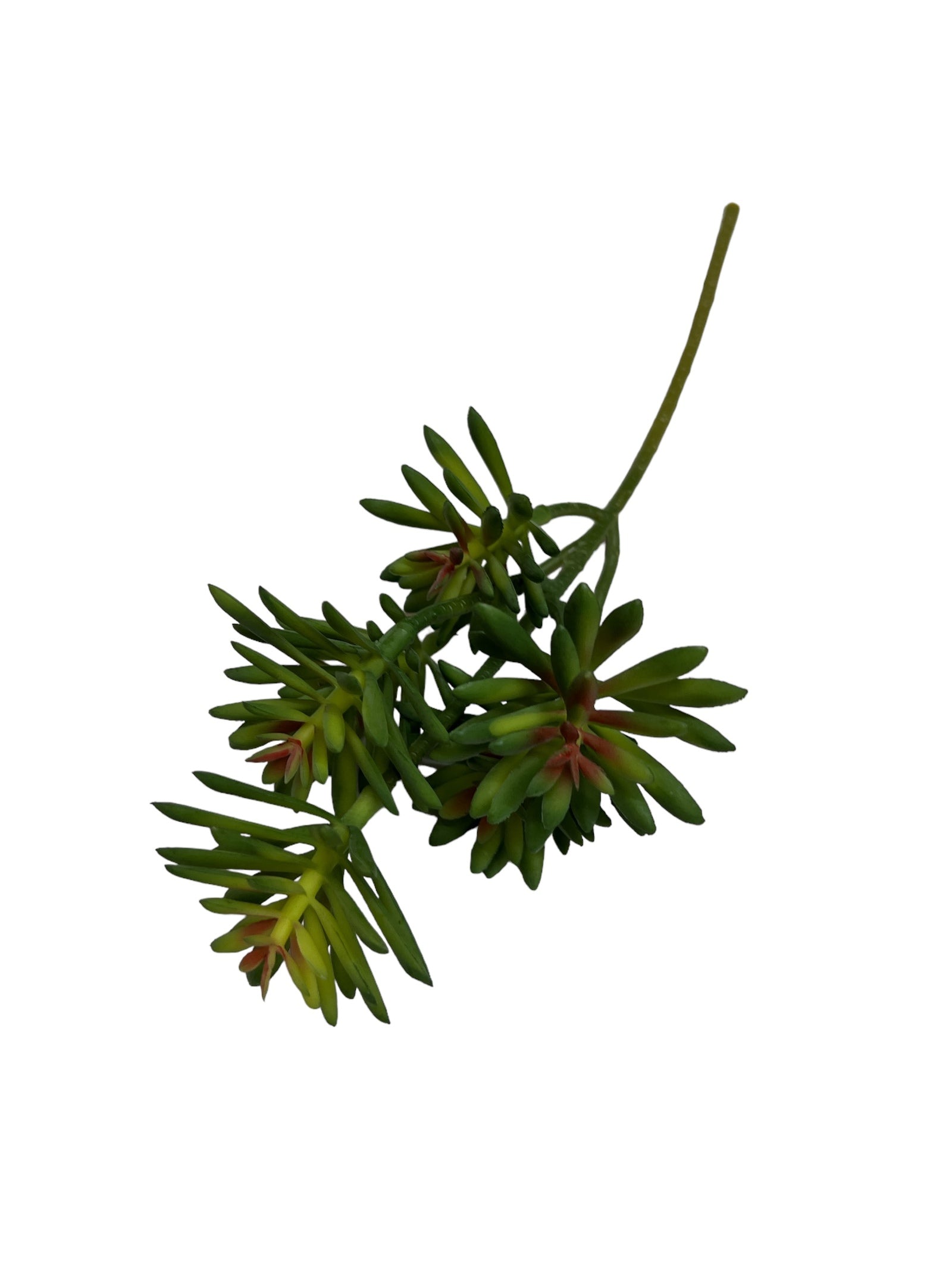 Photoroom_20240710_144101