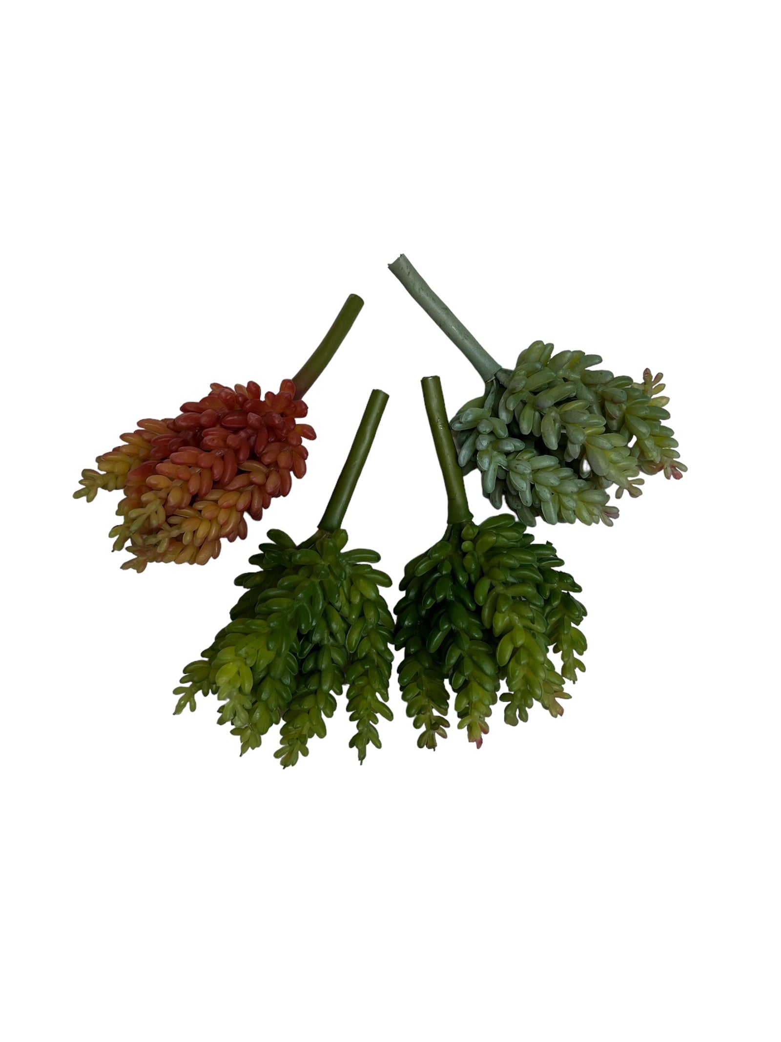 Photoroom_20240710_144846