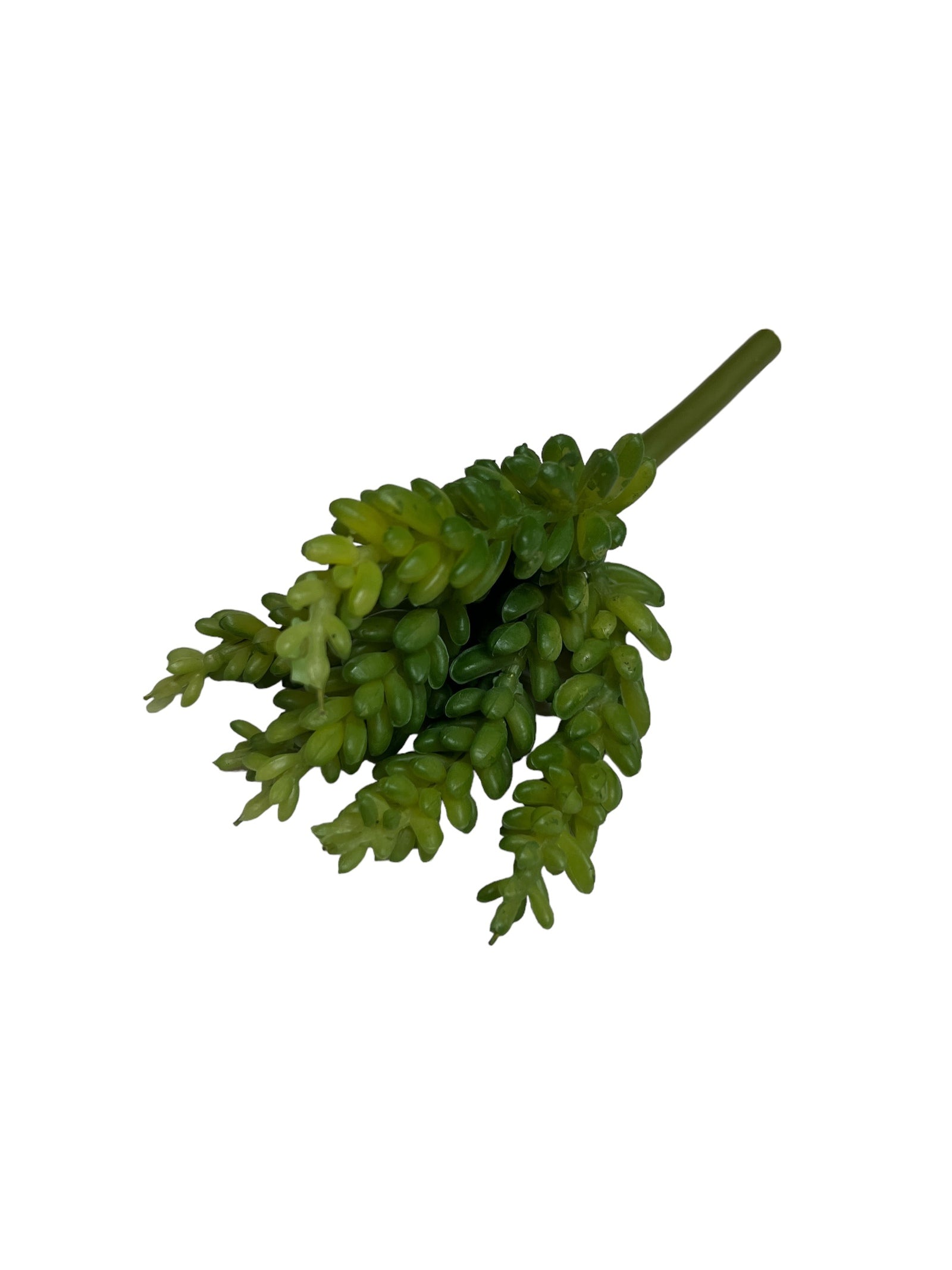 Photoroom_20240710_144909