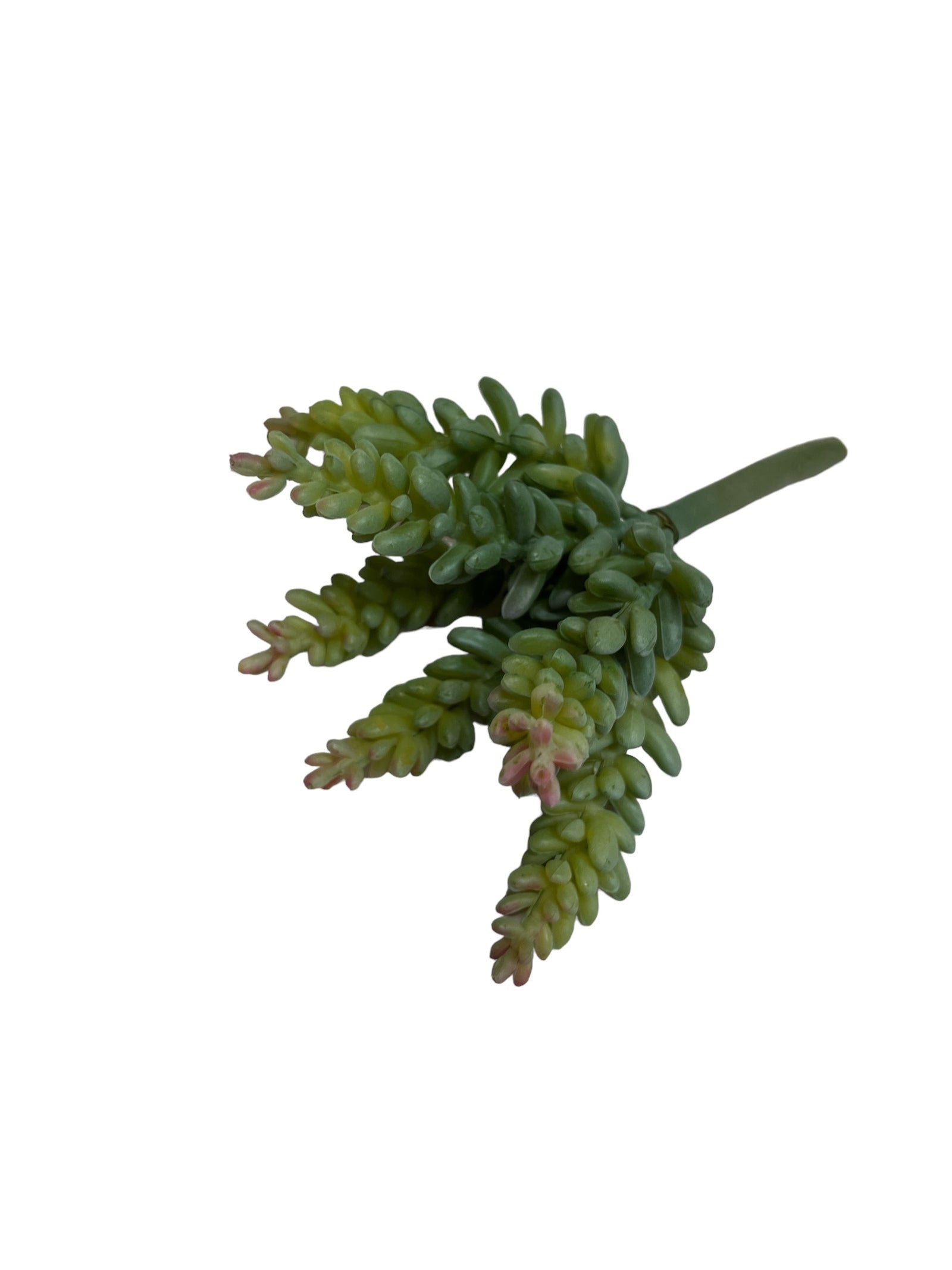 Photoroom_20240710_145055