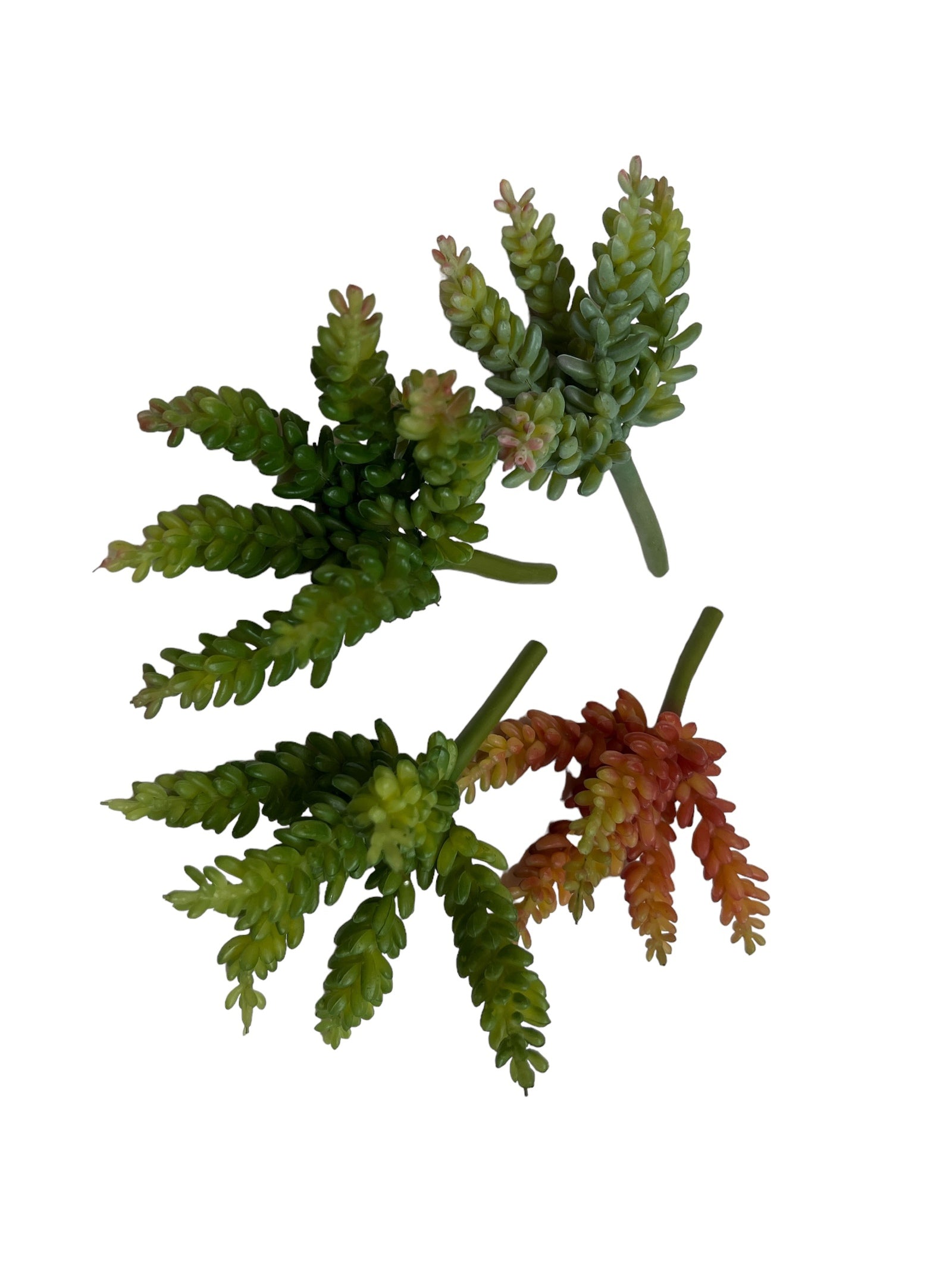 Photoroom_20240710_145225