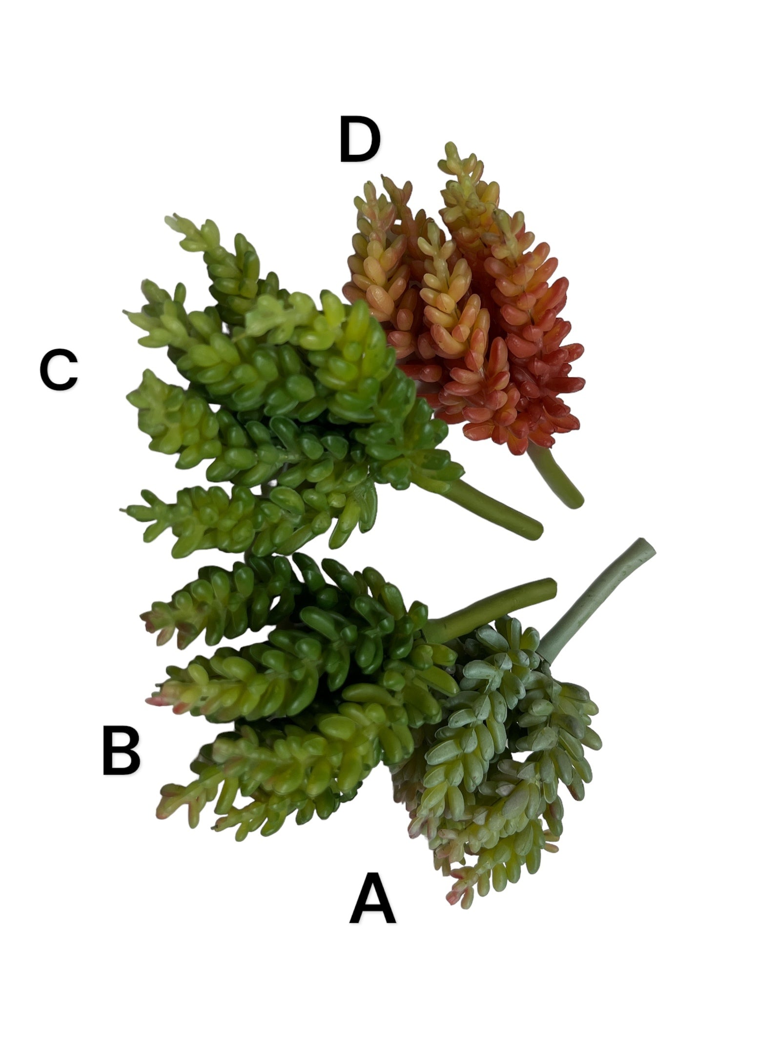 Photoroom_20240711_124826