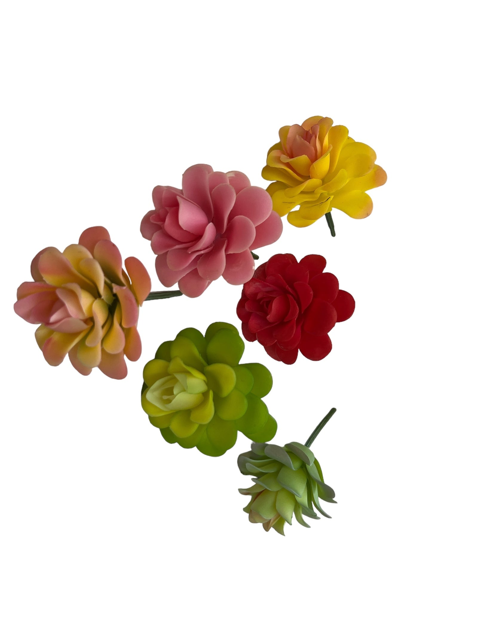 Photoroom_20240710_145402