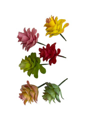 Photoroom_20240710_145420