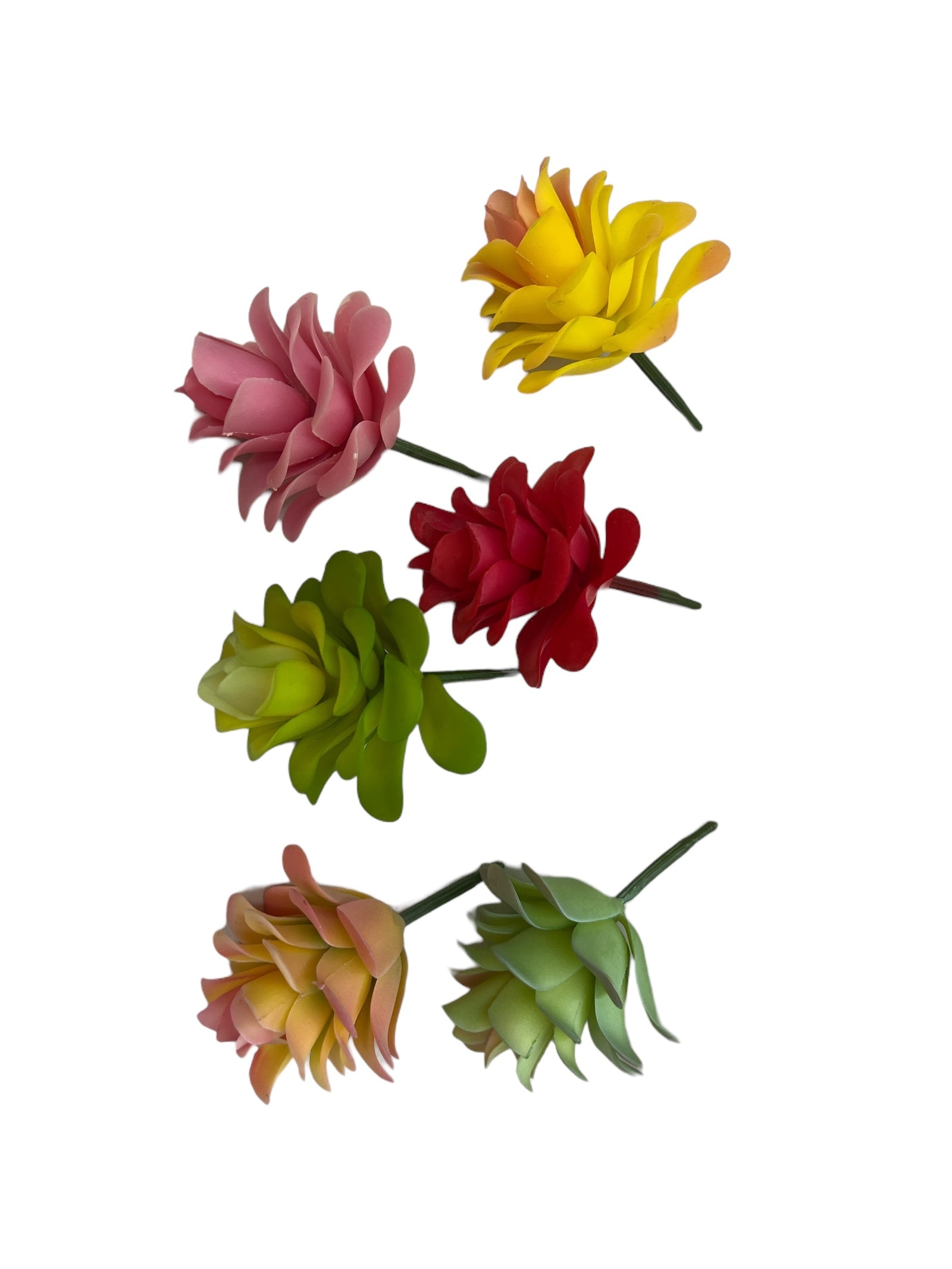 Photoroom_20240710_145420