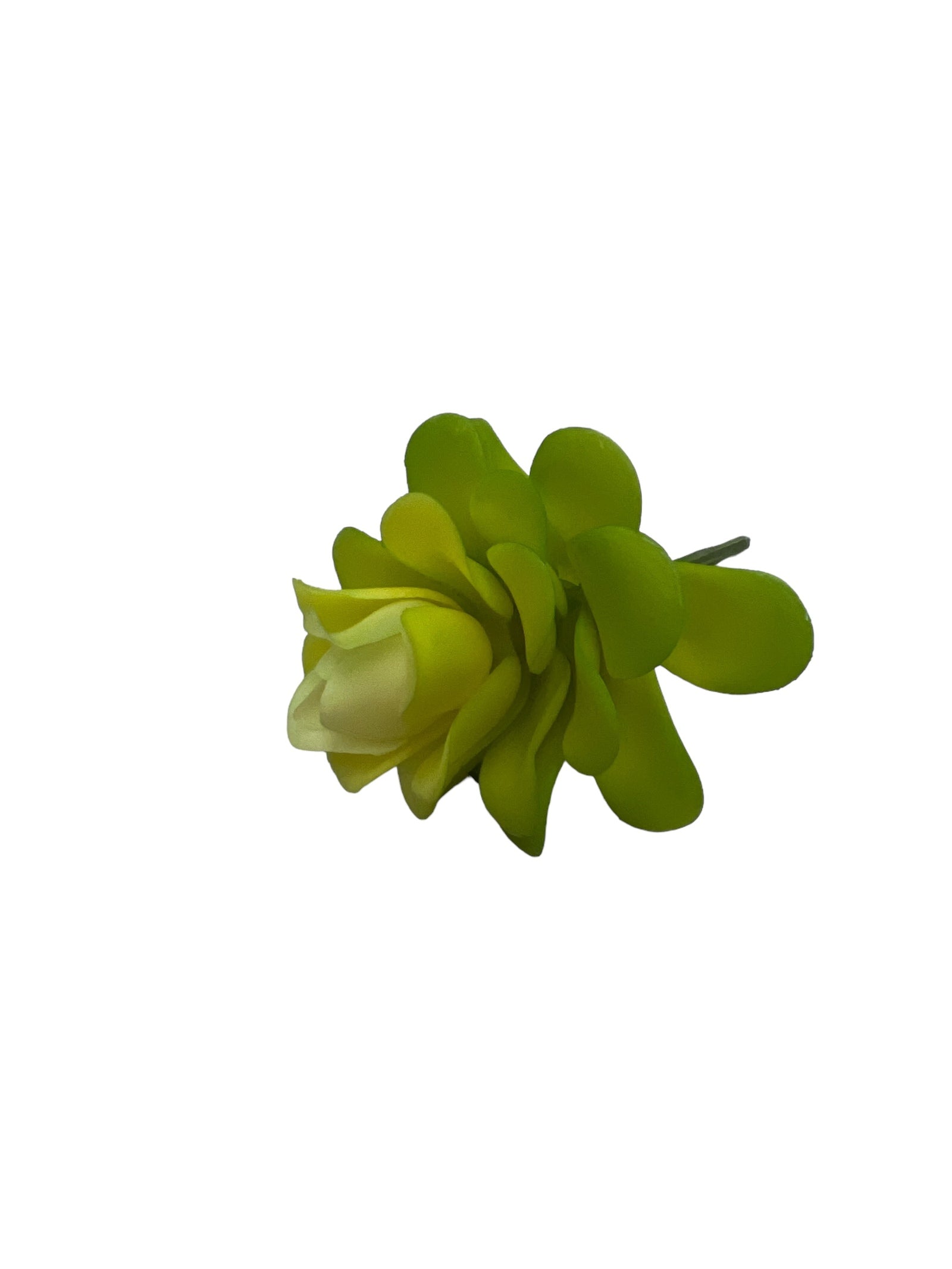 Photoroom_20240710_145531