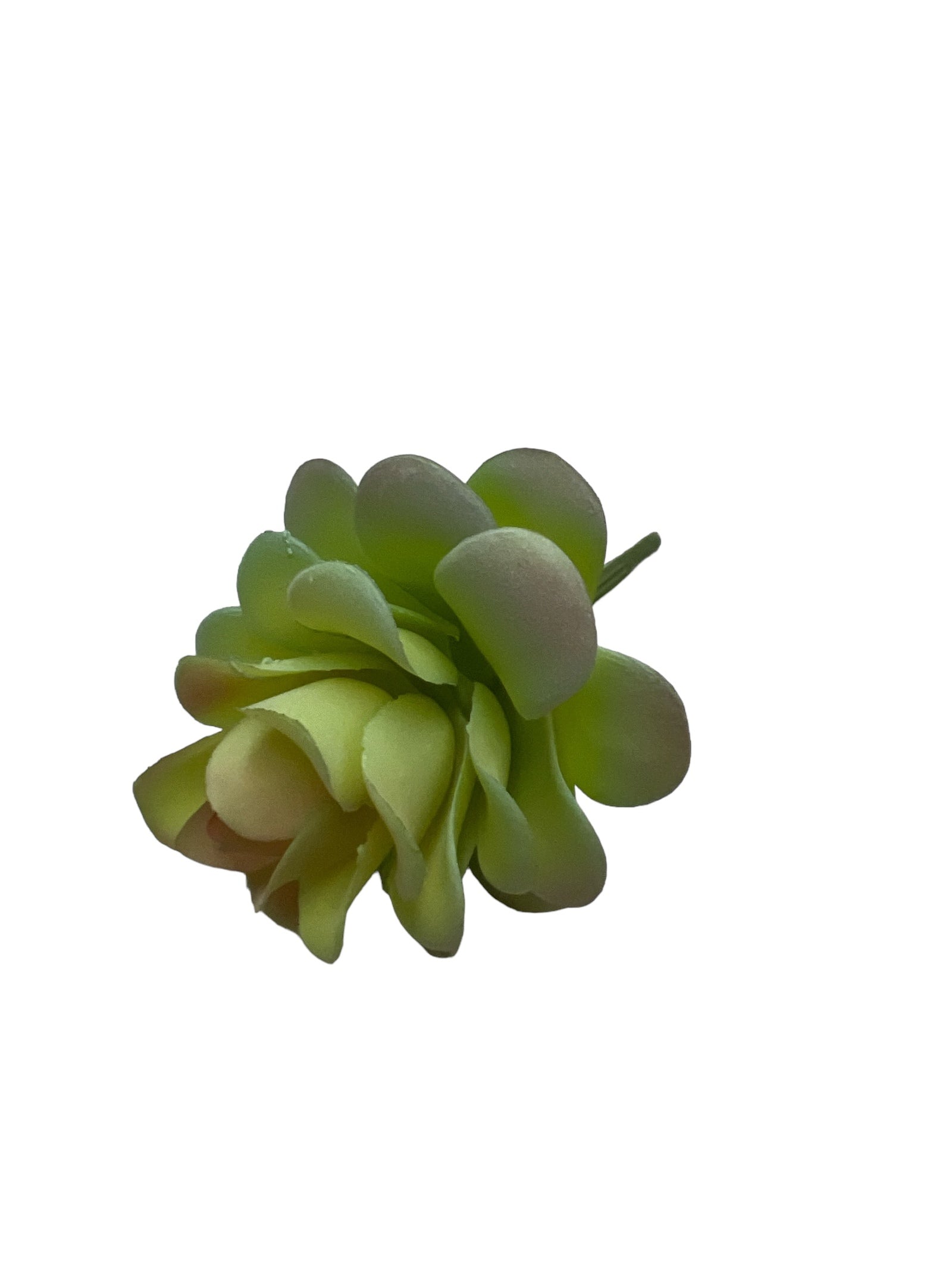 Photoroom_20240710_145557