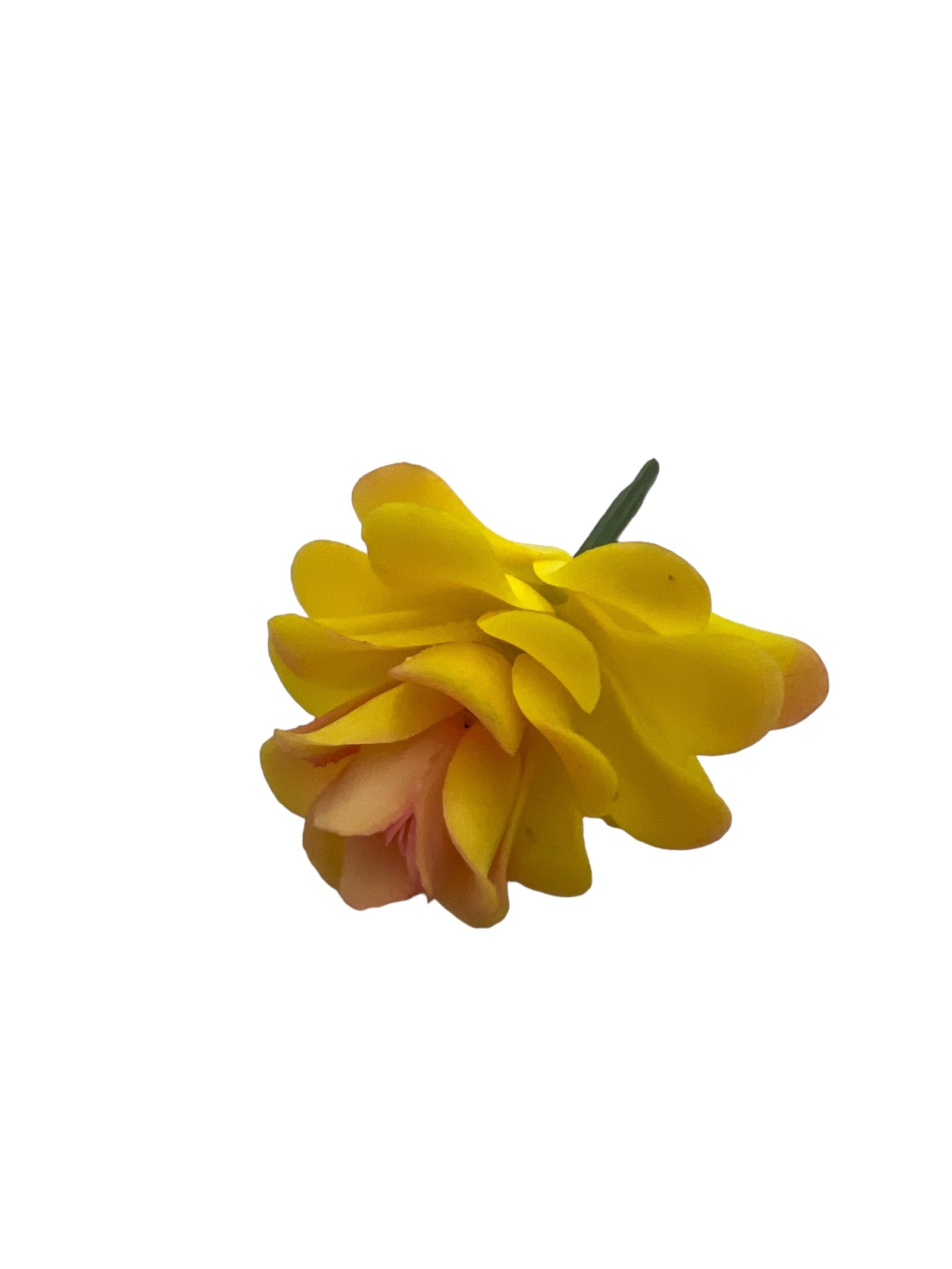 Photoroom_20240710_145621