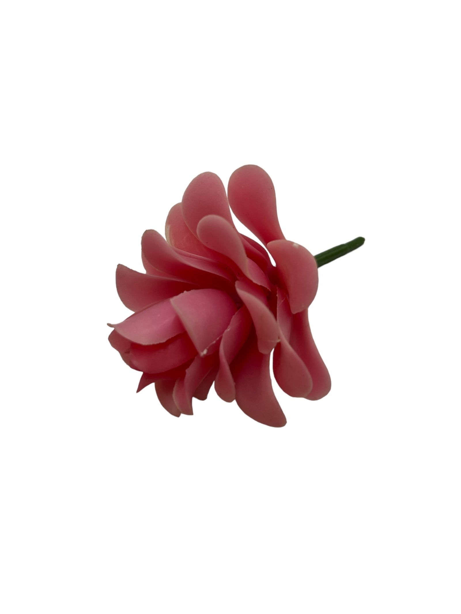 Photoroom_20240710_145746