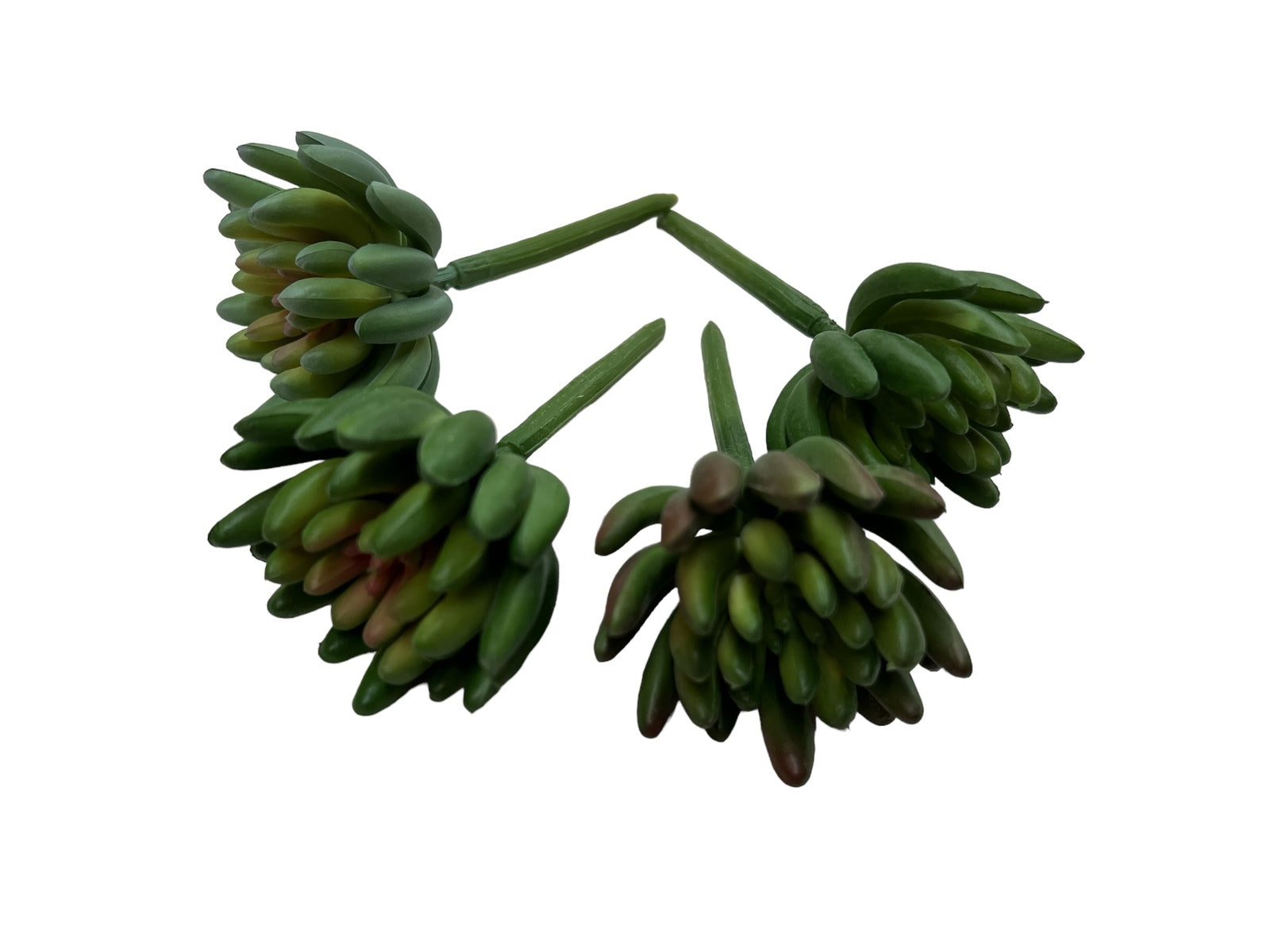 Photoroom_20240710_145930