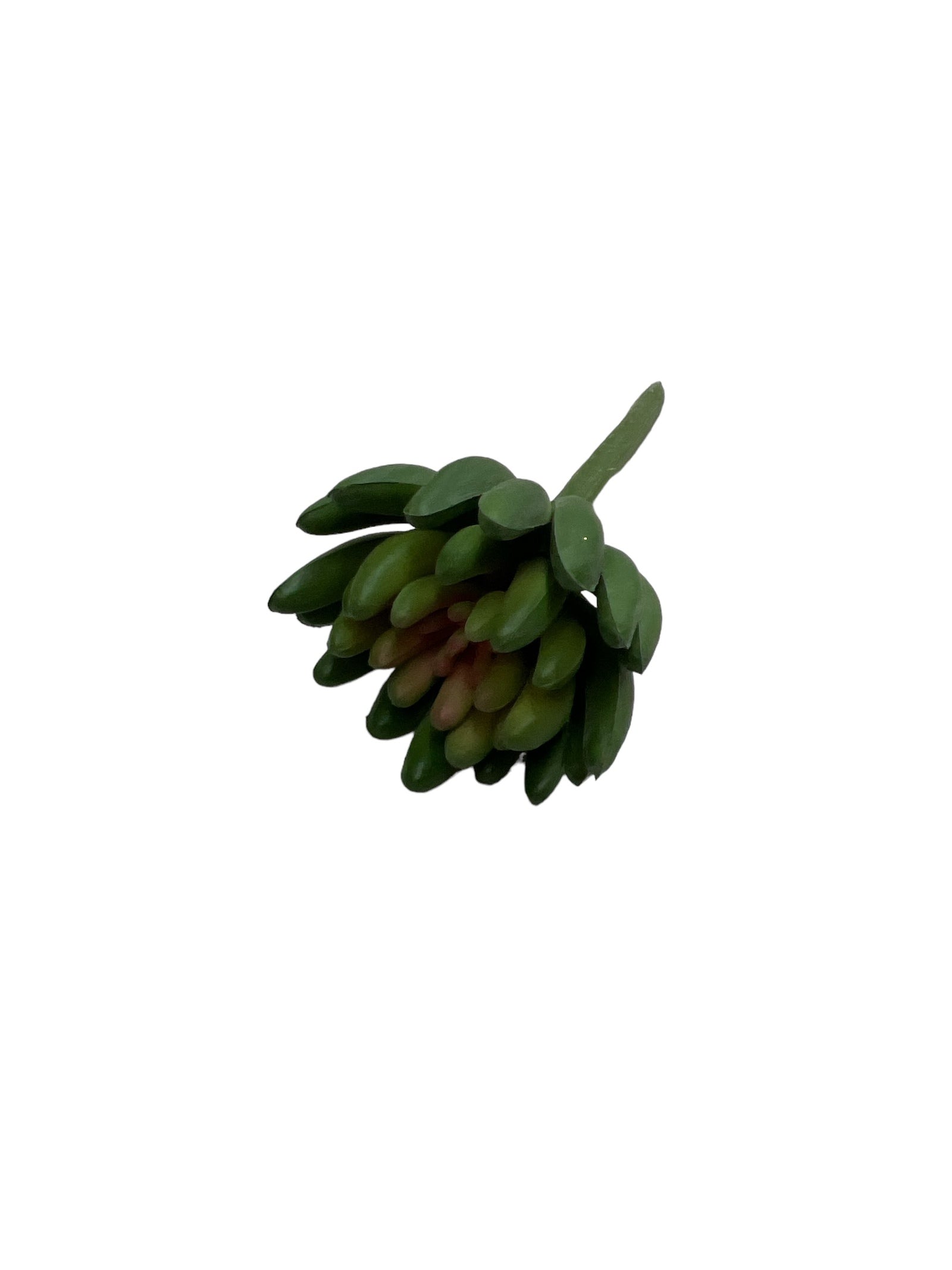 Photoroom_20240710_150041