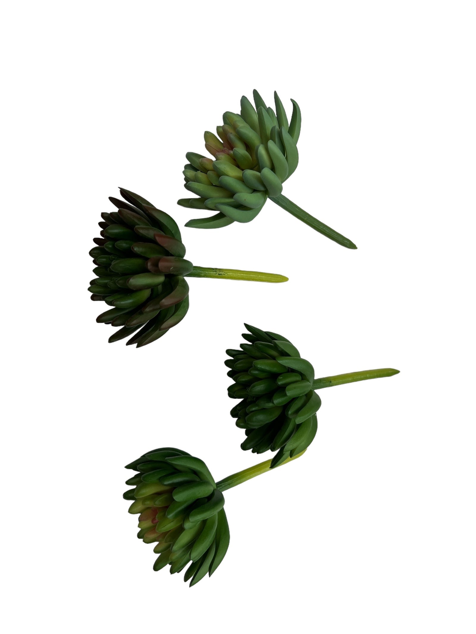 Photoroom_20240710_151149