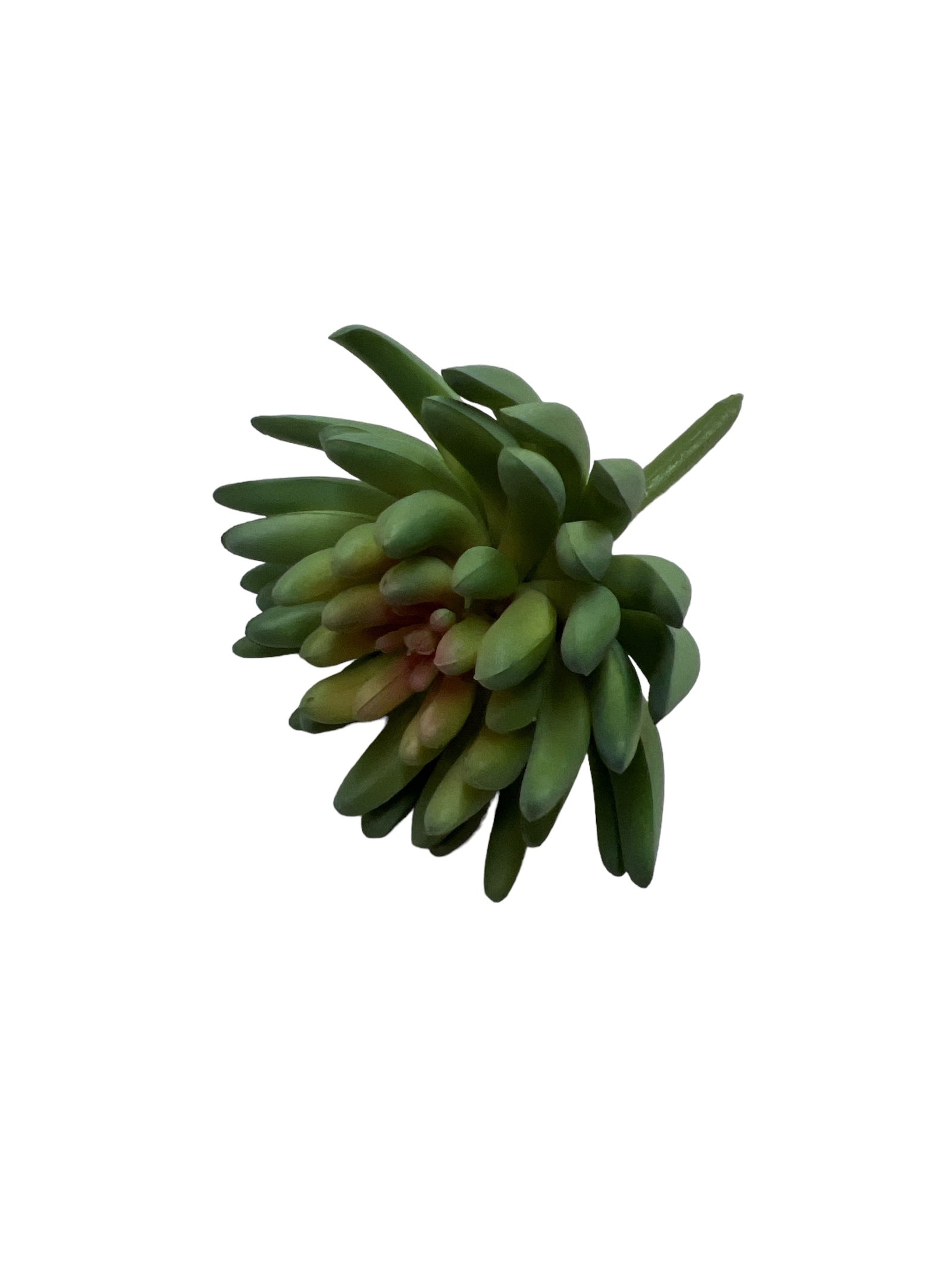 Photoroom_20240710_151258