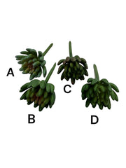 Photoroom_20240711_131143