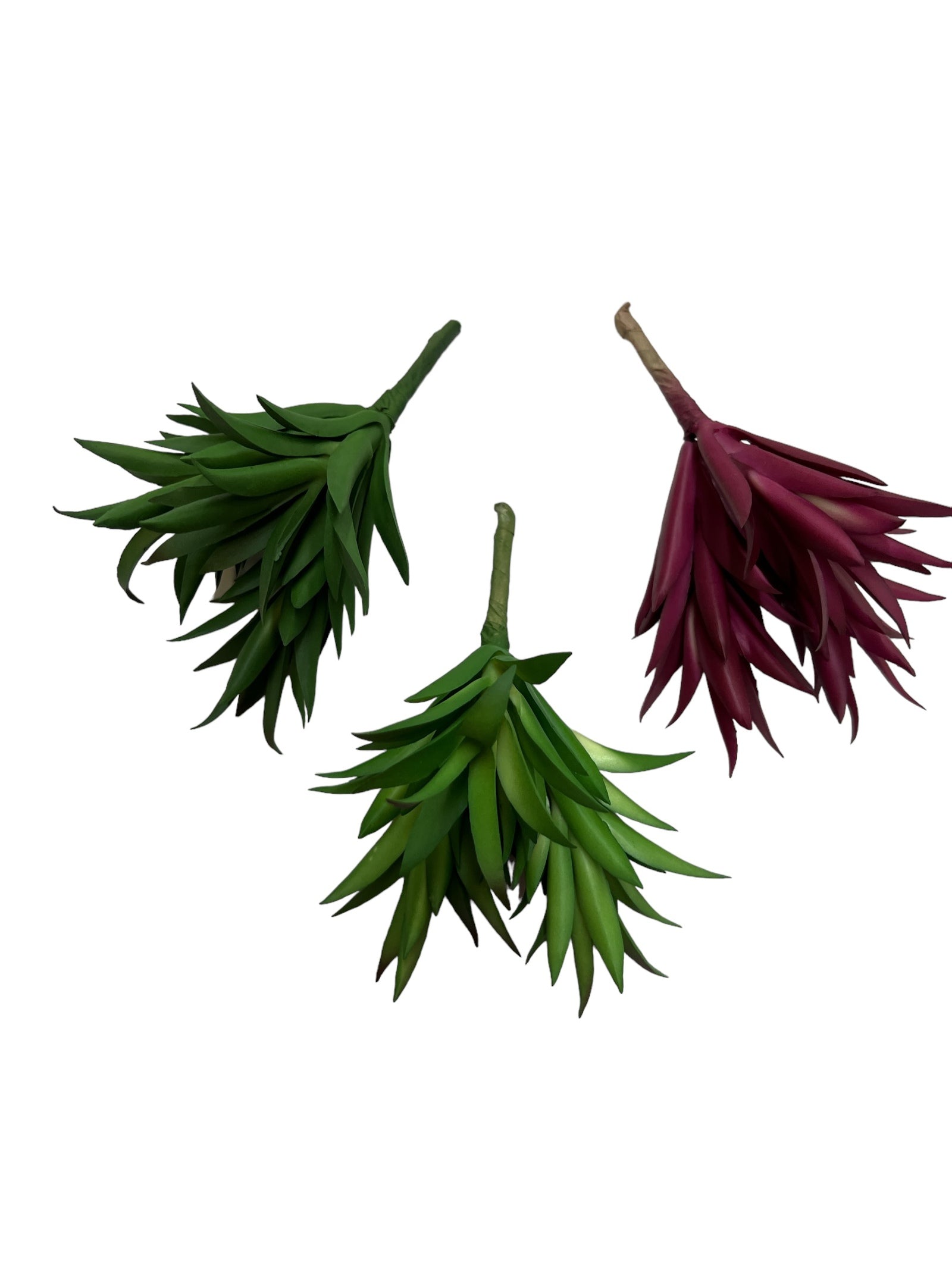 Photoroom_20240710_150945